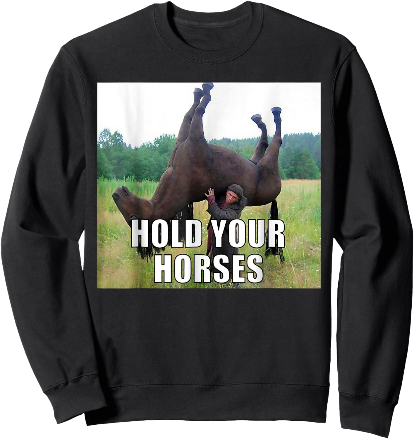 Hold Your Horses Dad Joke Funny Oddly Specific Dank Meme Sweatshirt - Sweatshirt | Black
