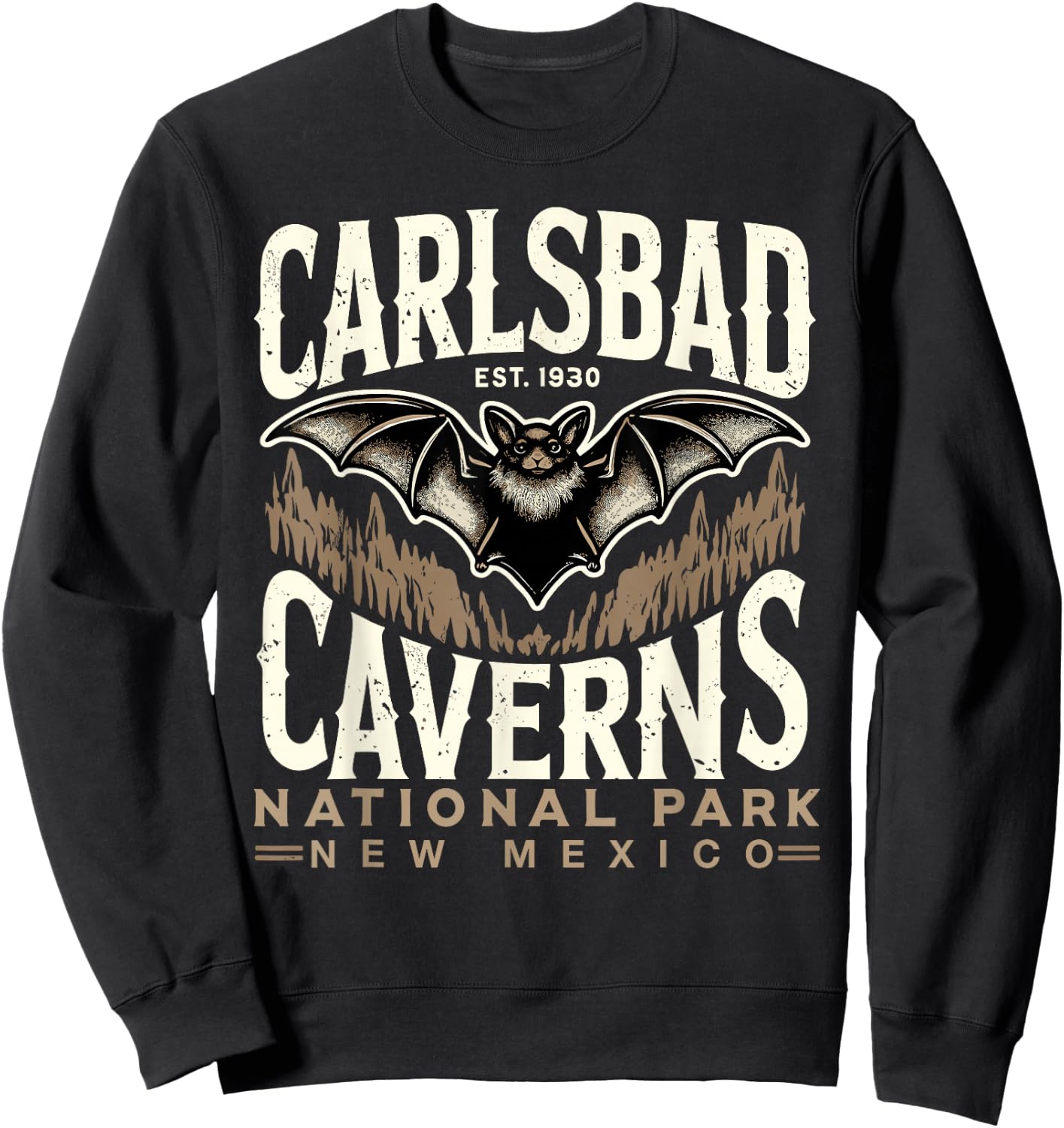 Carlsbad Caverns National Park Bat Carlsbad Souvenir Sweatshirt - Sweatshirt | Black