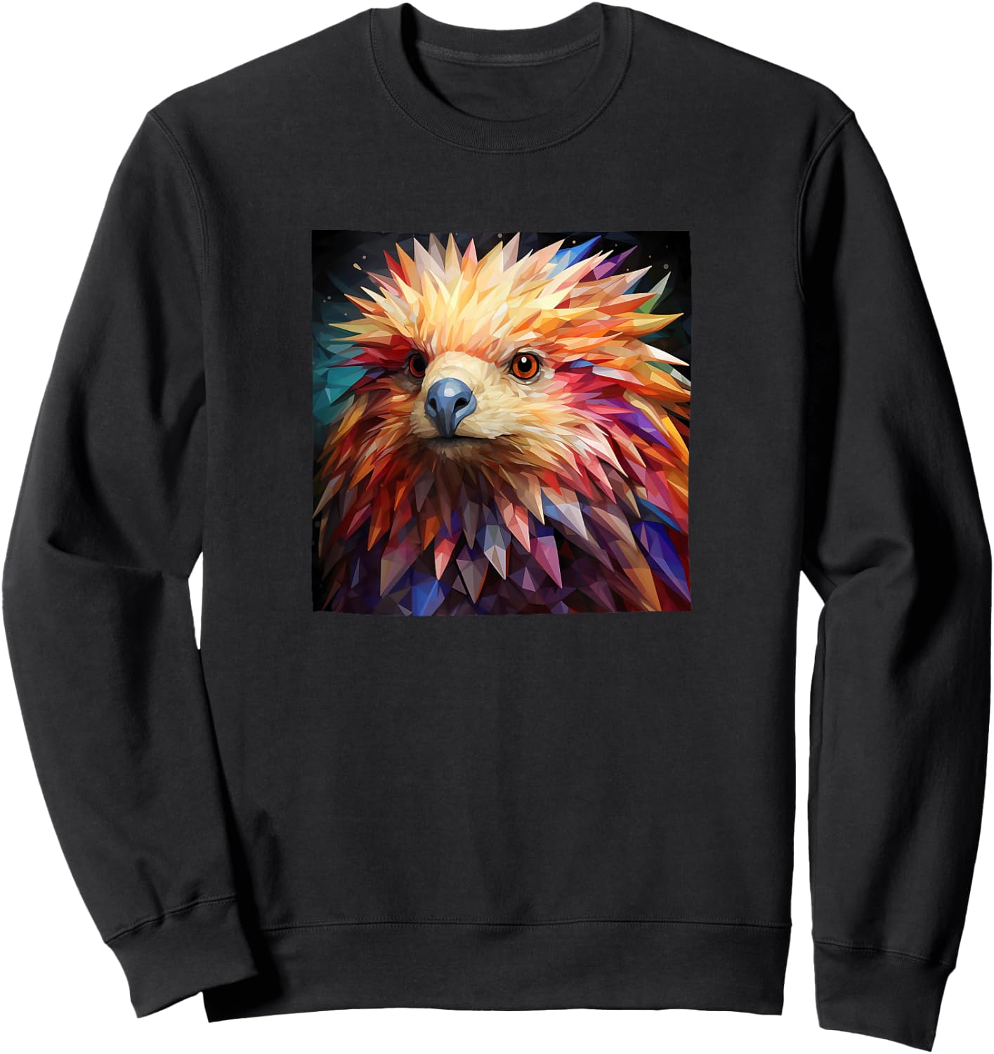 Porcupine Colorful Graphic Sweatshirt - Sweatshirt | Black