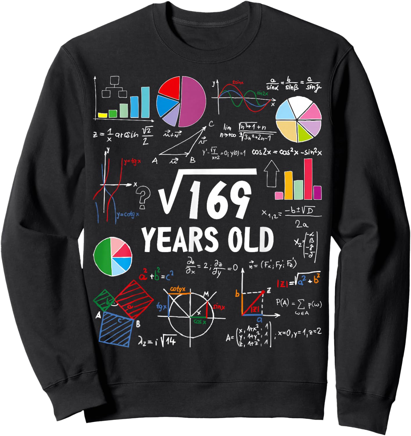 Square Root of 169 13th Birthday 13 Year Old Math Nerd Sweatshirt - Sweatshirt | Black