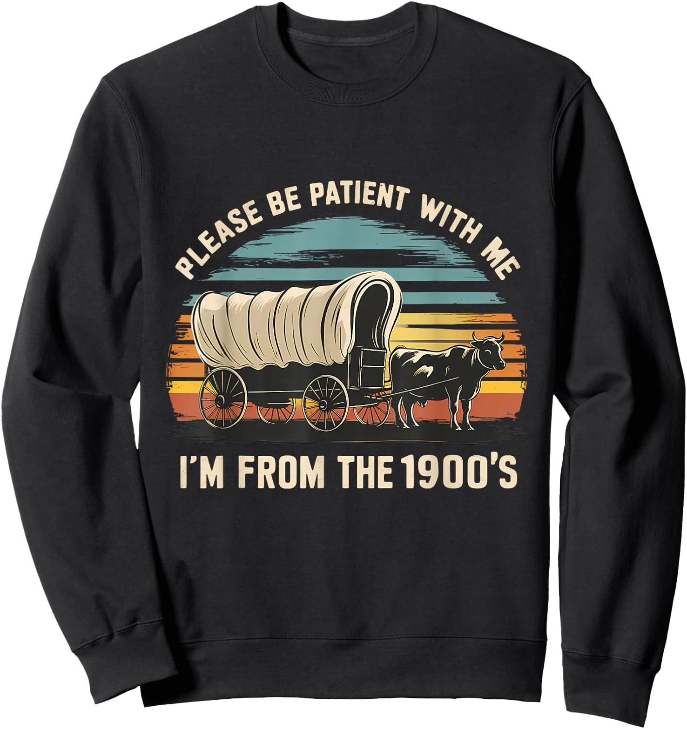 Sarcastic Quote Please Be Patient With Me Im From The 1900s Sweatshirt - Sweatshirt | Black