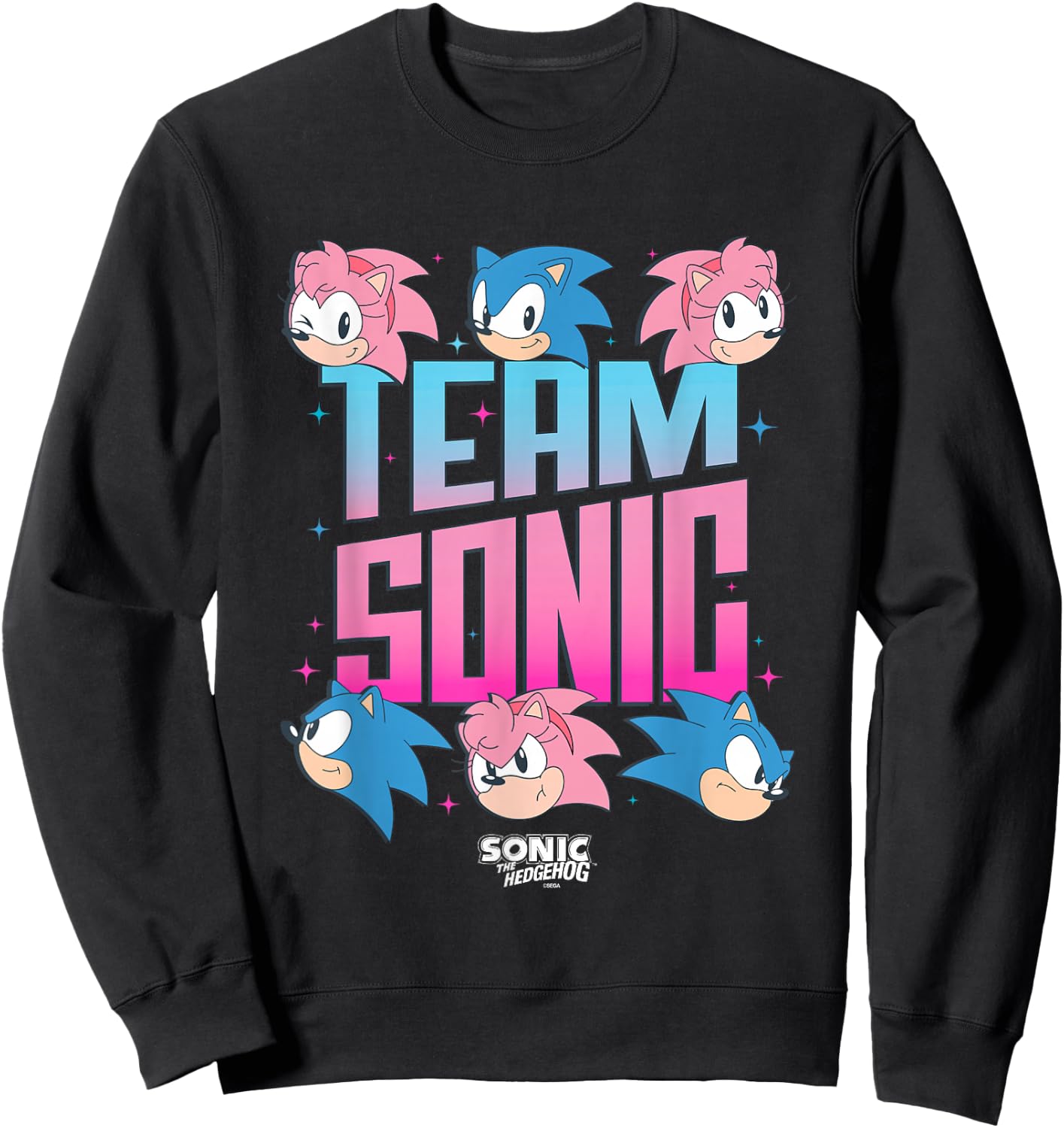 Sonic The Hedgehog Team Sonic Amy Rose Retro Logo Sweatshirt - Sweatshirt | Black