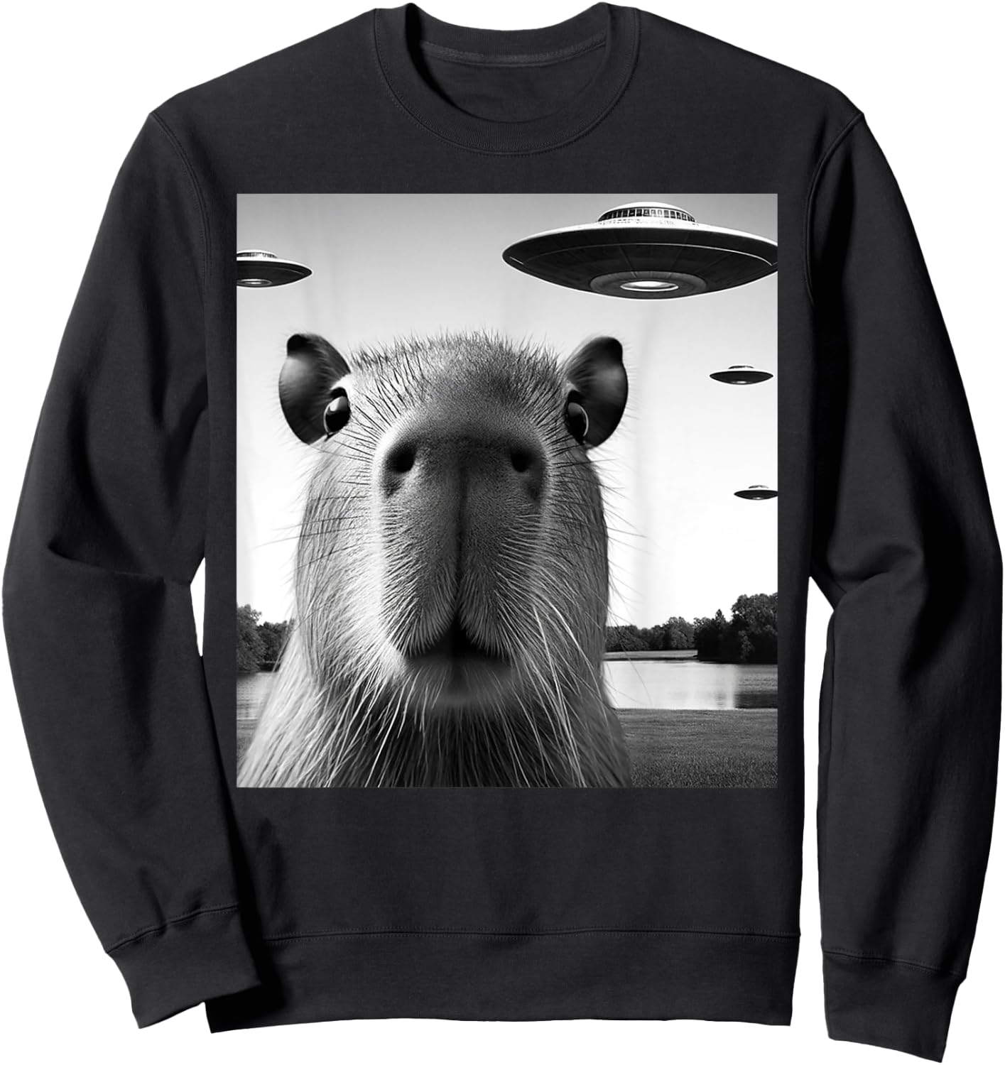 Funny Capybara Selfie with UFOs Weird Graphic Sweatshirt - Sweatshirt | Black