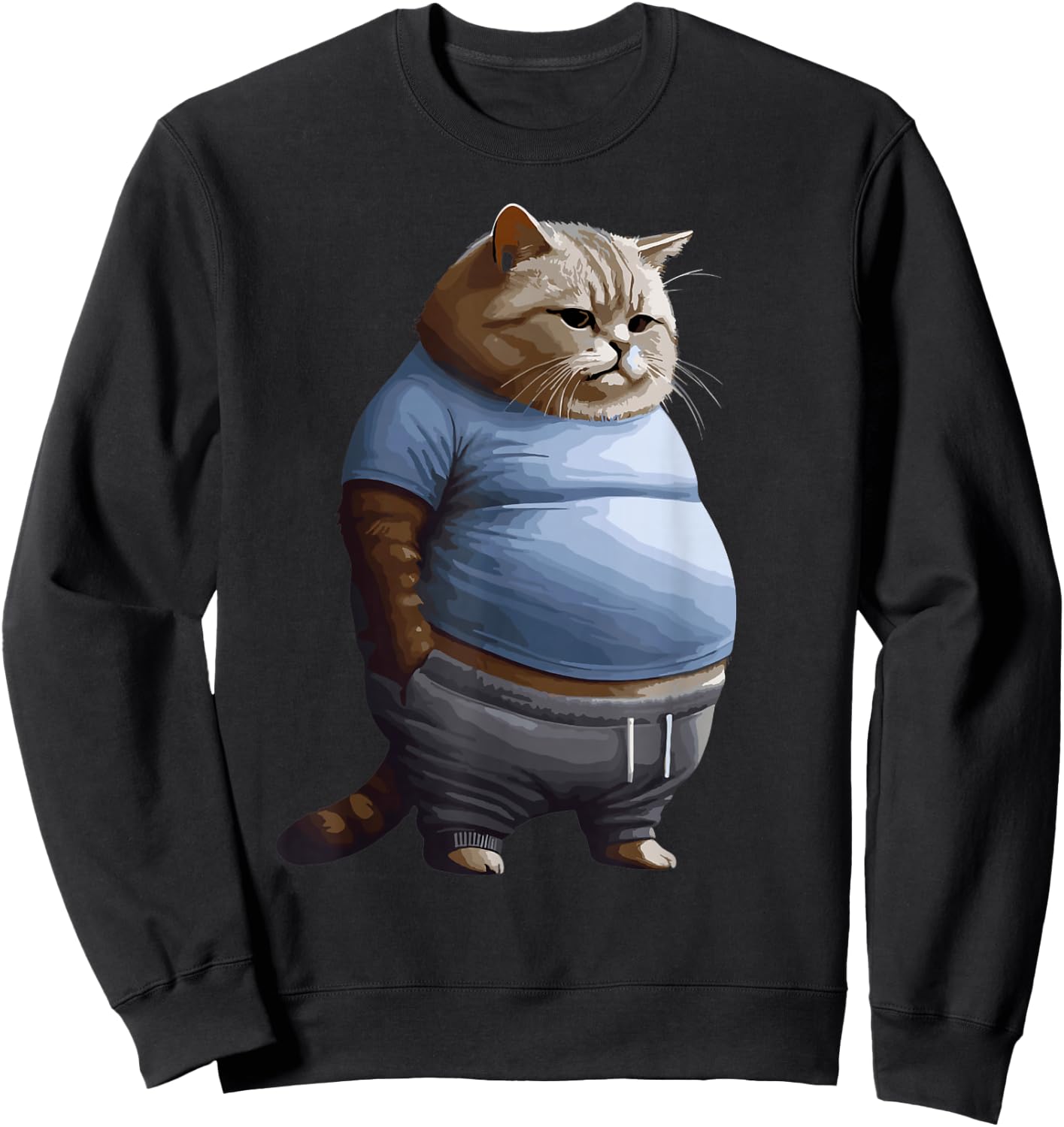 Funny Fat Sad Cat Art Design Fat Kitten Cat Lover Fat Cat Sweatshirt - Sweatshirt | Black