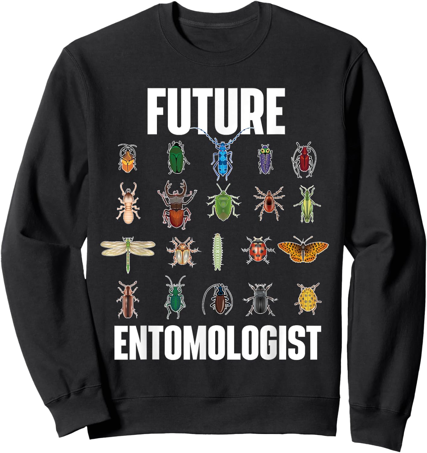 Future Entomologist - Entomology Insect Lover Bug Collector Small Sweatshirt - Sweatshirt | Black