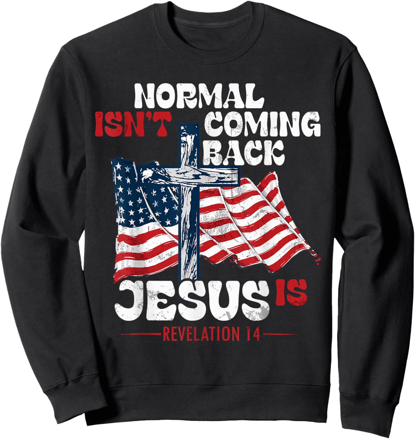 Modern Plus Normal Is not Coming Back Jesus Is Jesus Is Coming Back , Small Sweatshirt - Sweatshirt | Black