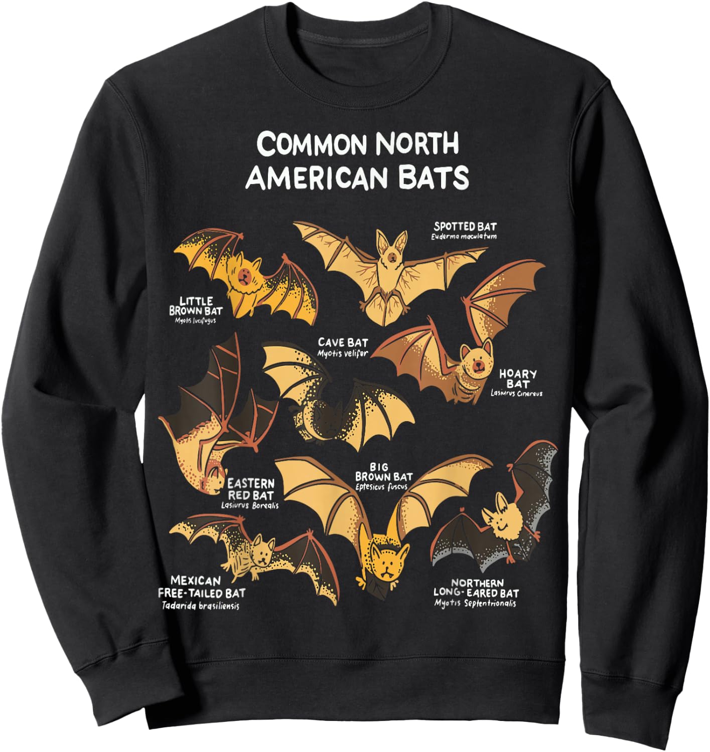 Bats of North America I Megabat I Bloodsucker I Bat Sweatshirt - Sweatshirt | Black