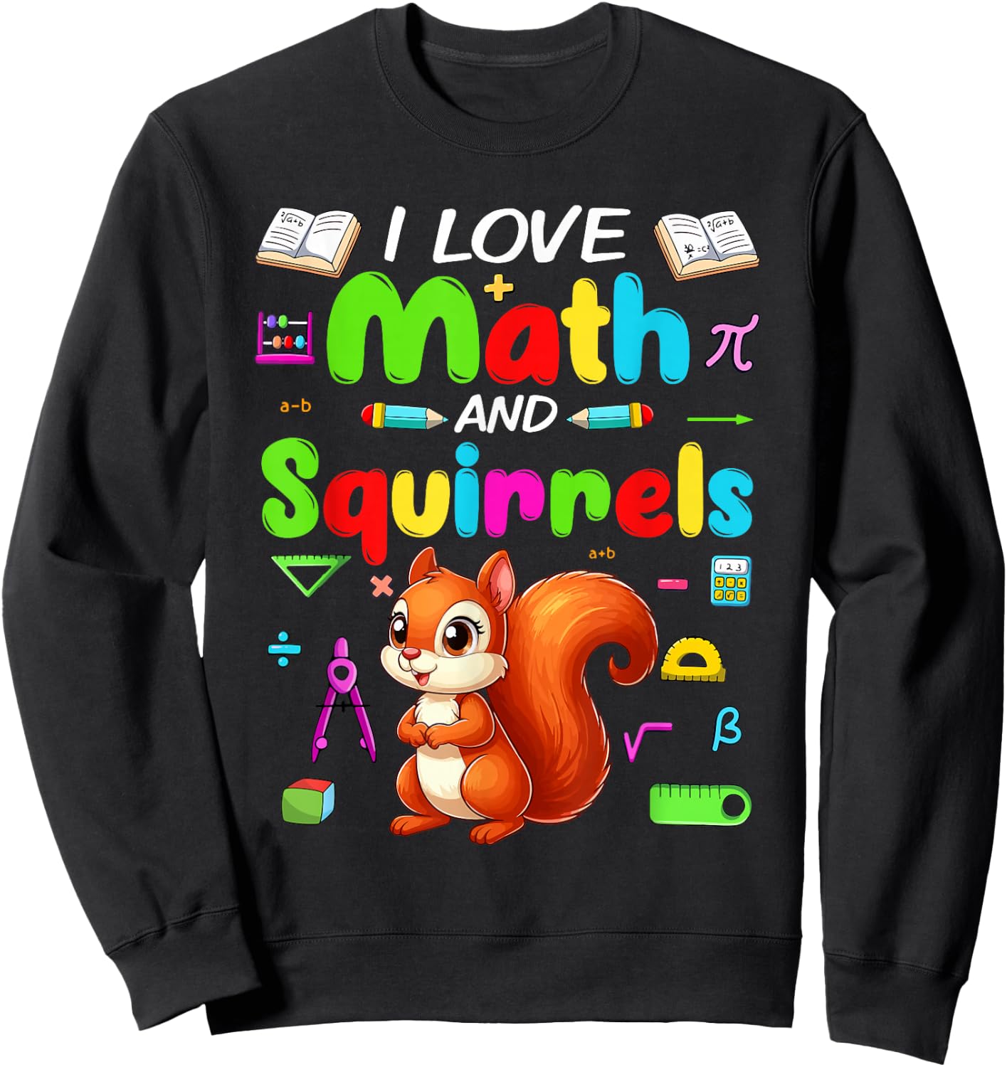 Love Math And Squirrels Students Teachers Costume Colorful Sweatshirt - Sweatshirt | Black