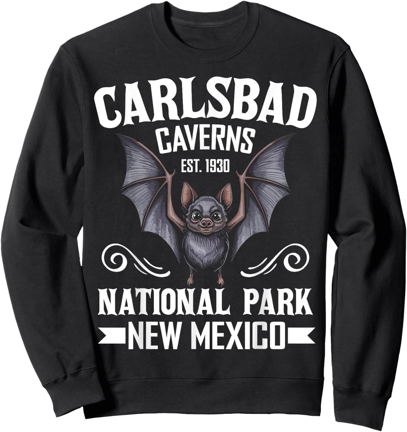 Carlsbad Caverns National Park Bat Mexico Travel Souvenir Sweatshirt - Sweatshirt | Black