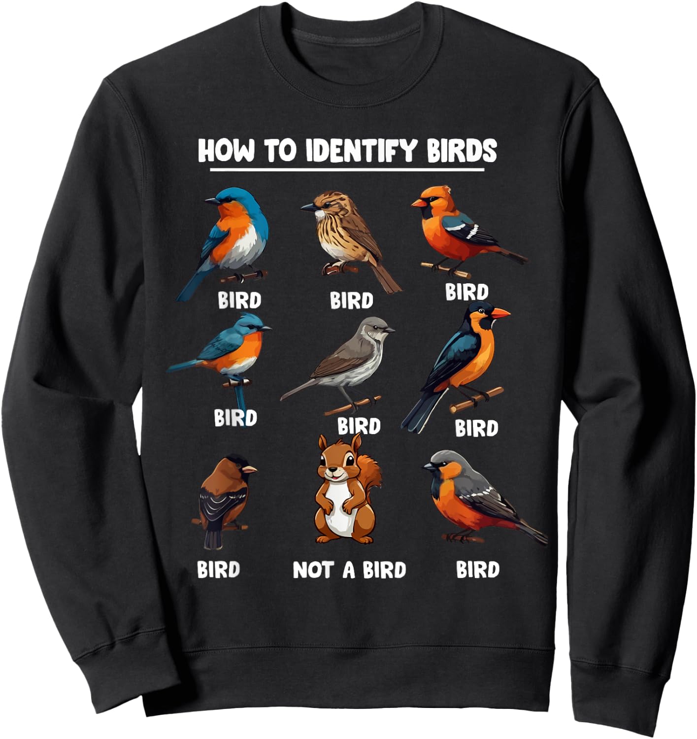 Funny Bird How to Identify Birds - Birds Lovers Watching , Small, Black Sweatshirt - Sweatshirt | Black