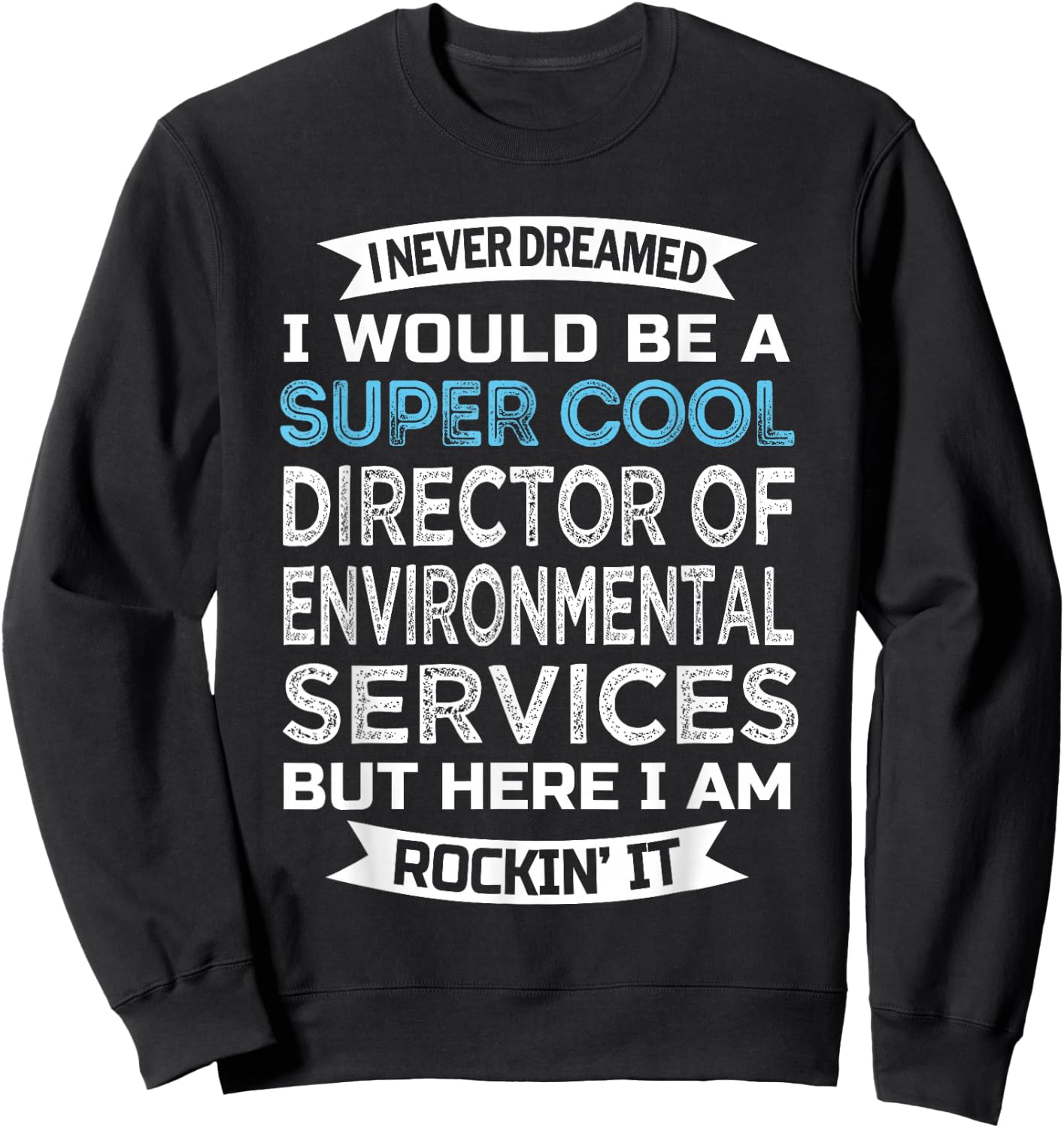 Director of Environmental Services Funny EVS Director Sweatshirt - Sweatshirt | Black
