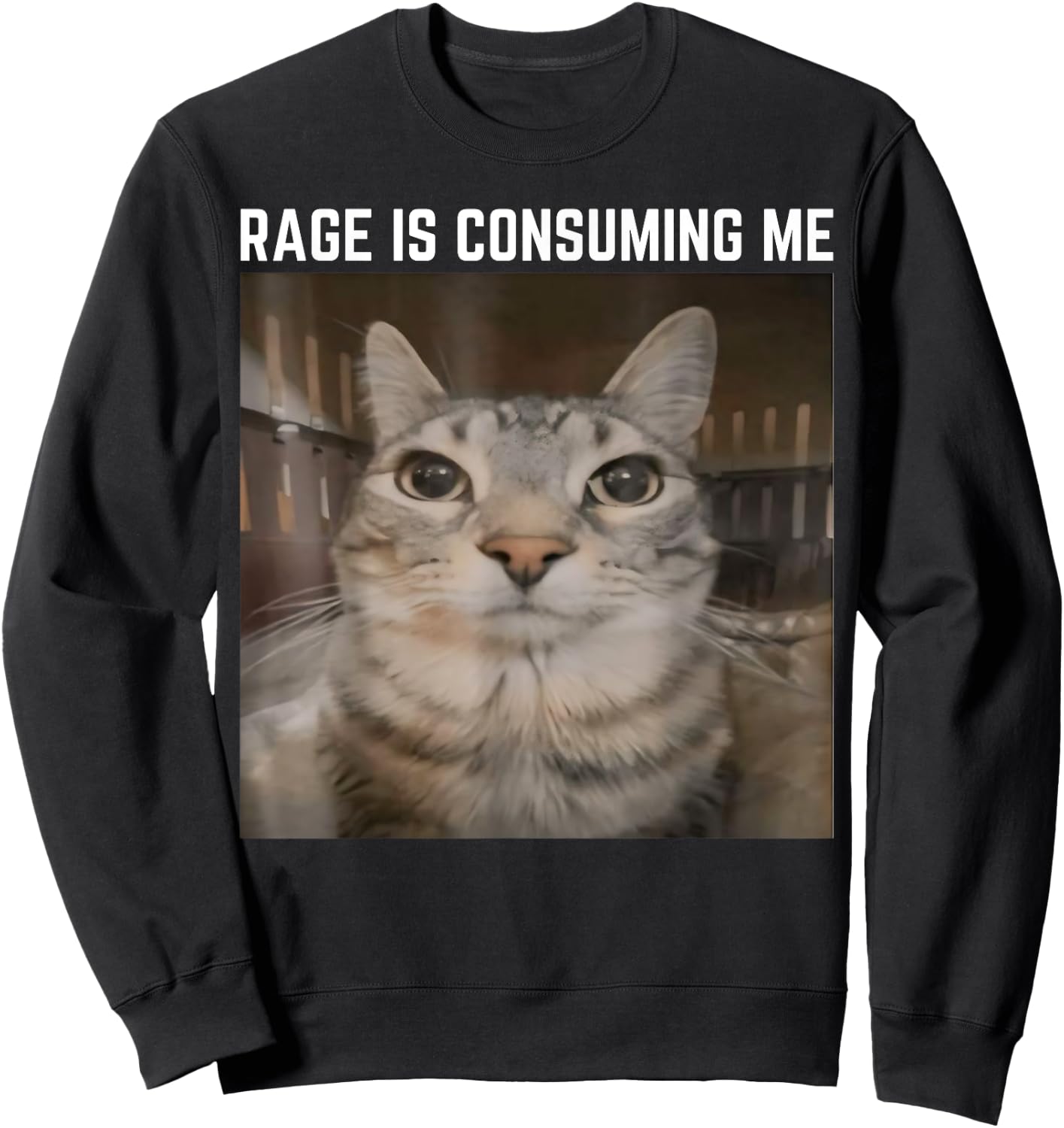 Rage is Consuming Me Meme Cat Meme Oddly Specific Memes Joke Sweatshirt - Sweatshirt | Black