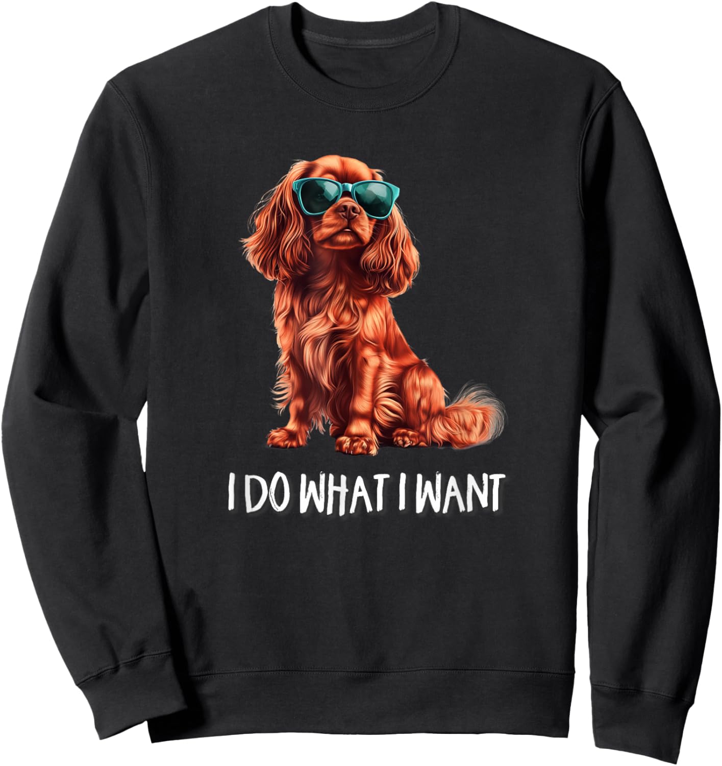 Funny What I Want Ruby Cavalier King Charles Spaniel Lover Sweatshirt - Sweatshirt | Black