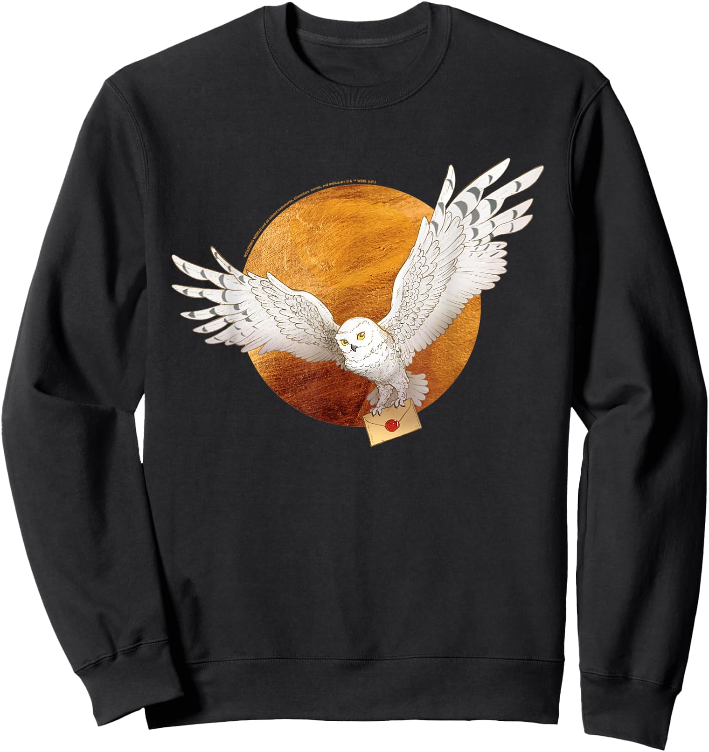 Harry Potter Hedwig and The Moon Small Sweatshirt - Sweatshirt | Black