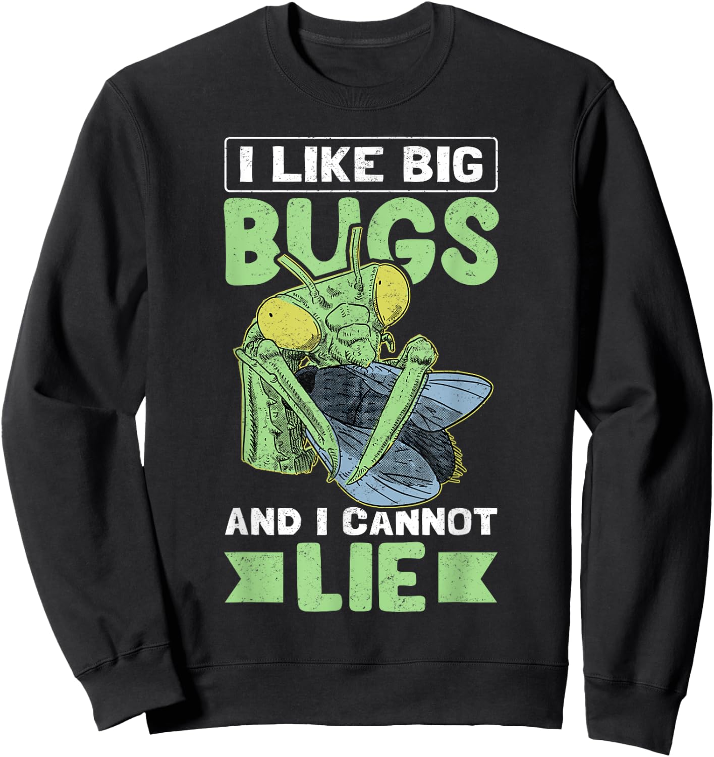 Praying Mantis Insect Lover Mantis Costume Bug Sweatshirt - Sweatshirt | Black