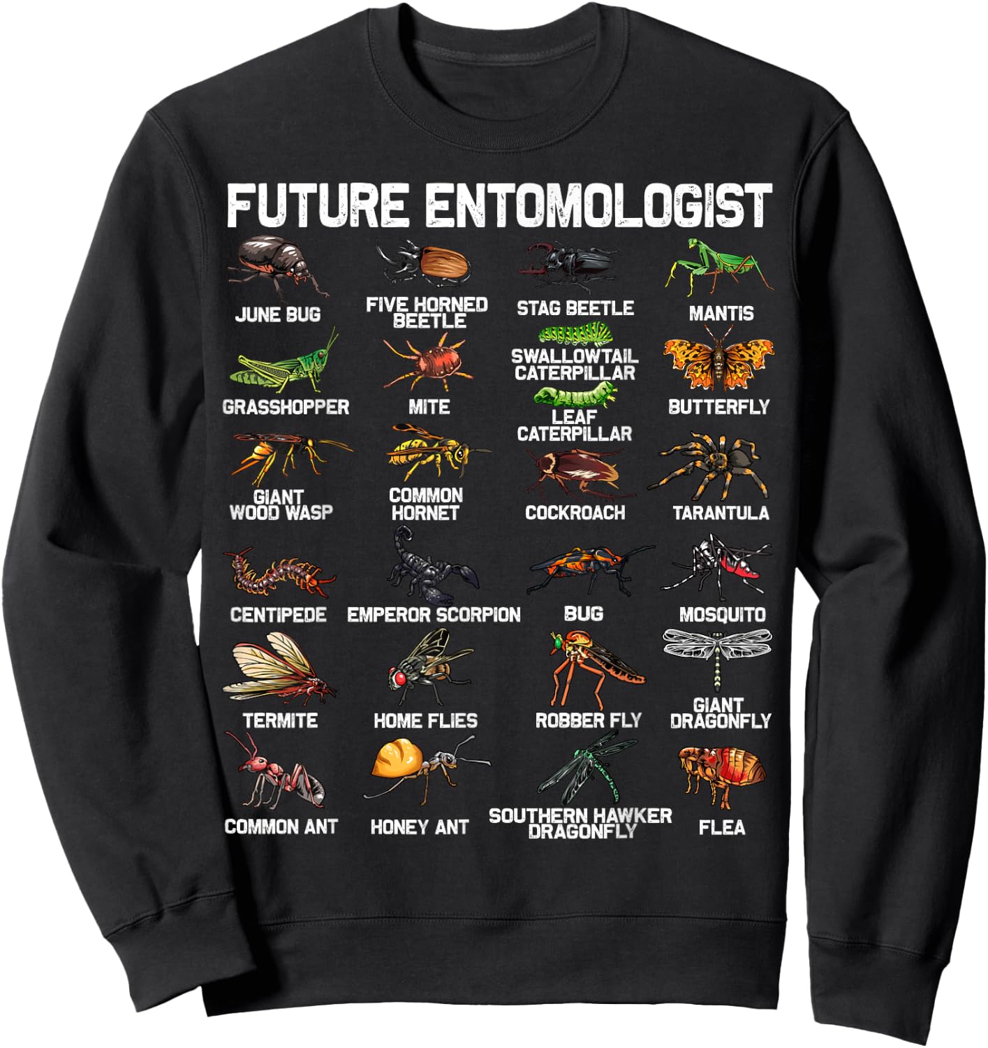 Funny Bug Catcher Designs for Kids Men Women Insect Hunter Small Sweatshirt - Sweatshirt | Black