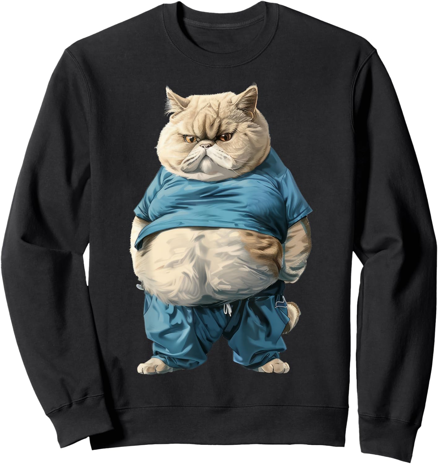 Nourjoy Funny Fat Cat Art Design Fat Kitten Cat Lover , Small, Black Sweatshirt - Sweatshirt | Black