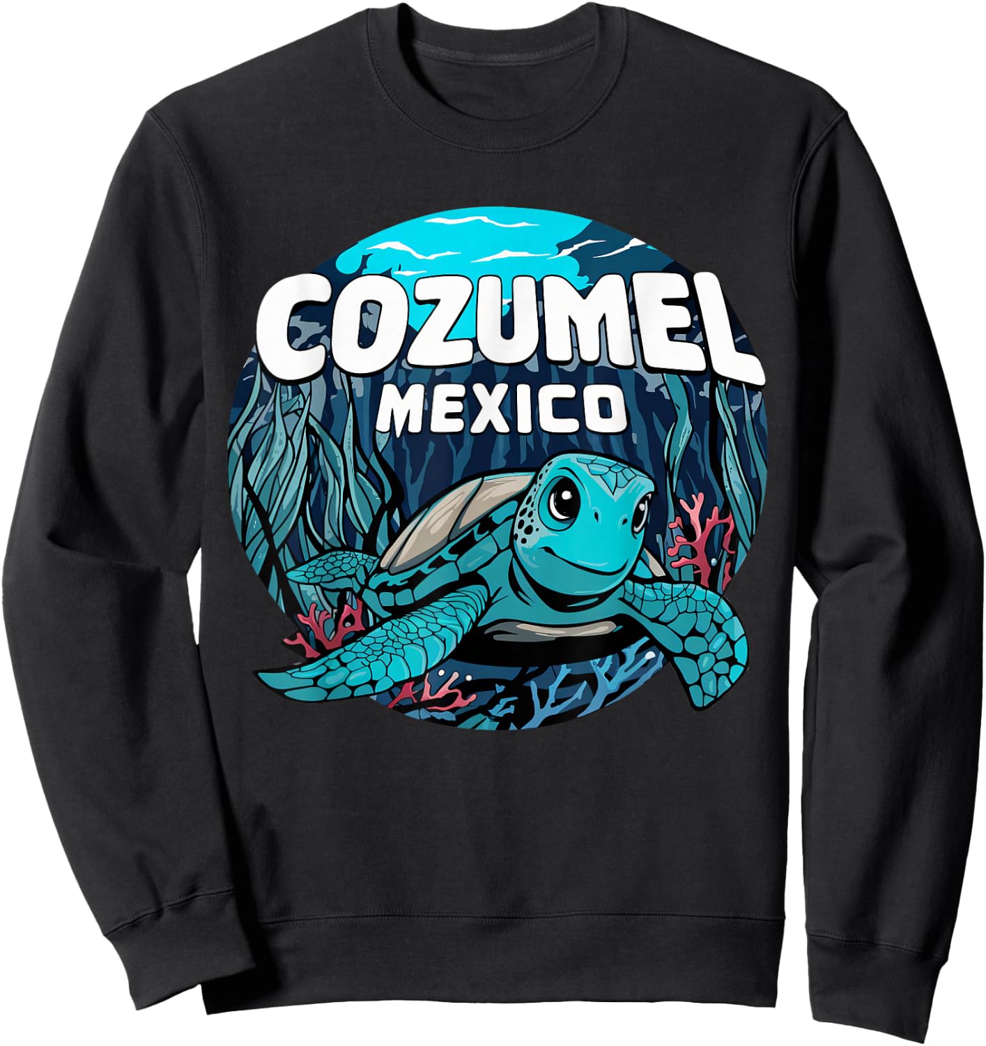 Cozumel Sea Turtle Sweatshirt - Sweatshirt | Black