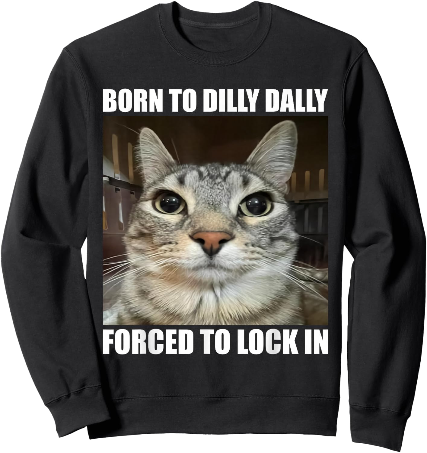 Born To Dilly Dallly Forced To Lock In Cat Lover Sweatshirt - Sweatshirt | Black