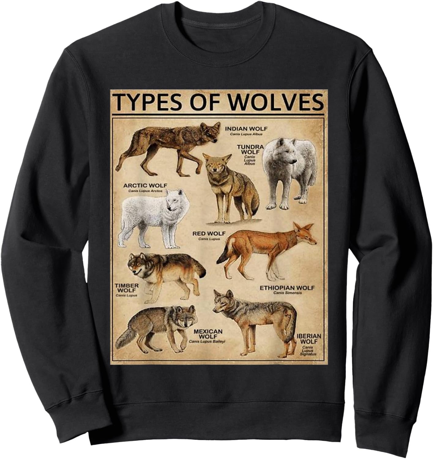 Wolf Types Animal Wolves of the World Educational Collection Sweatshirt - Sweatshirt | Black