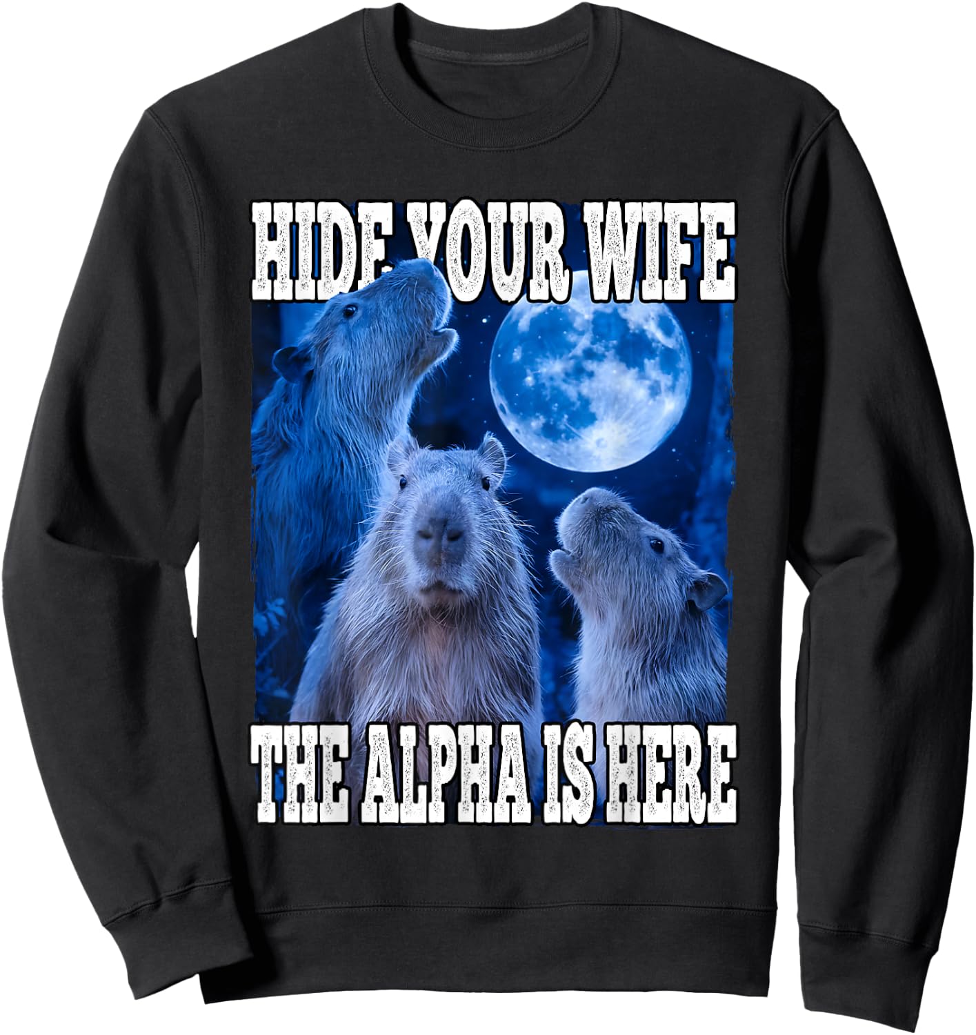 Hide Your Wife The Alpha Is Here Funny Capybara Alpha Meme Sweatshirt - Sweatshirt | Black