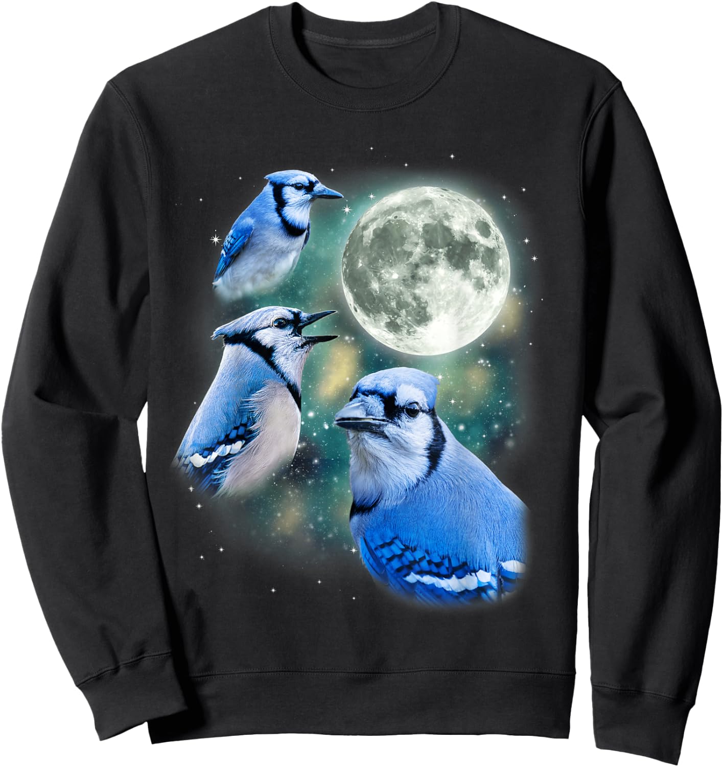 Three Blue Jay Moon Avian Wildlife Birdwatching Bird Lover Sweatshirt - Sweatshirt | Black