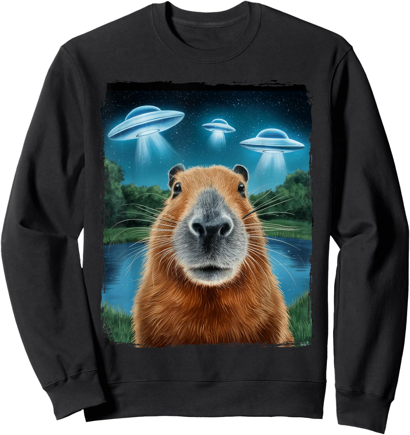 Capybara Selfie with UFOs Sweatshirt - Sweatshirt | Black