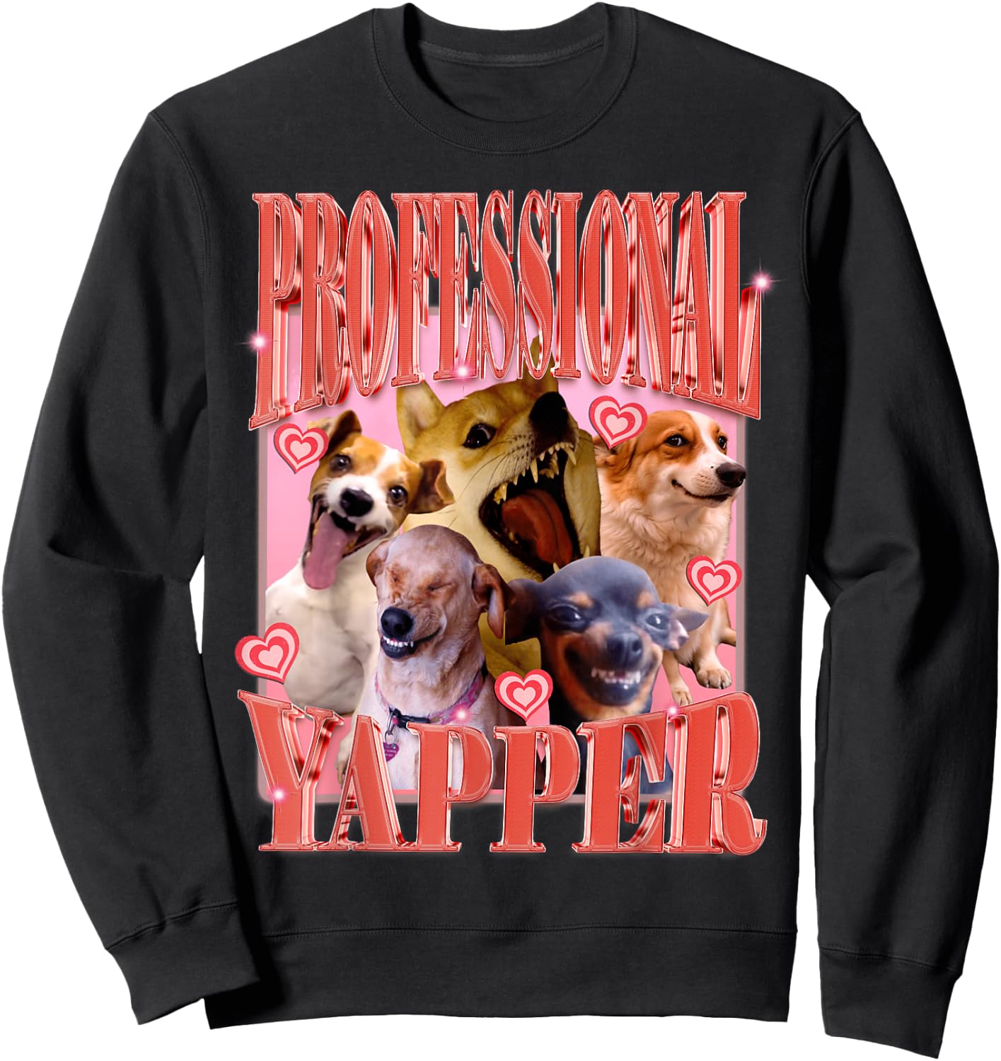 Professional Yapper dog Funny Oddly Specific Meme Women Kids Sweatshirt - Sweatshirt | Black