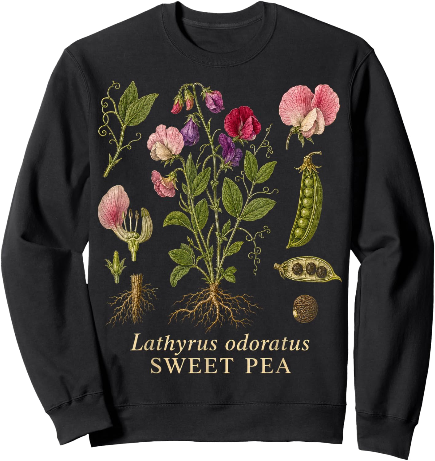 Sweet Pea Botanical Flower Vintage Garden Illustration Sweatshirt - Sweatshirt | Black
