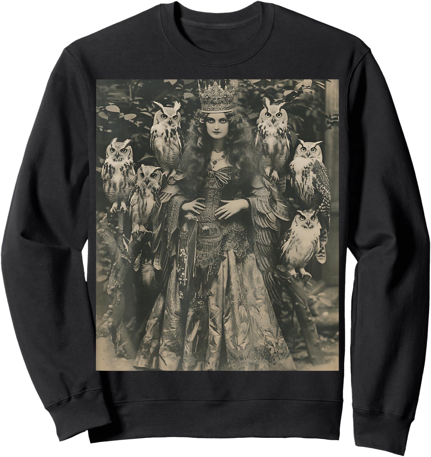 Vintage Witch Sorceress With Raptor Owl Birds Goth Gothic Sweatshirt - Sweatshirt | Black
