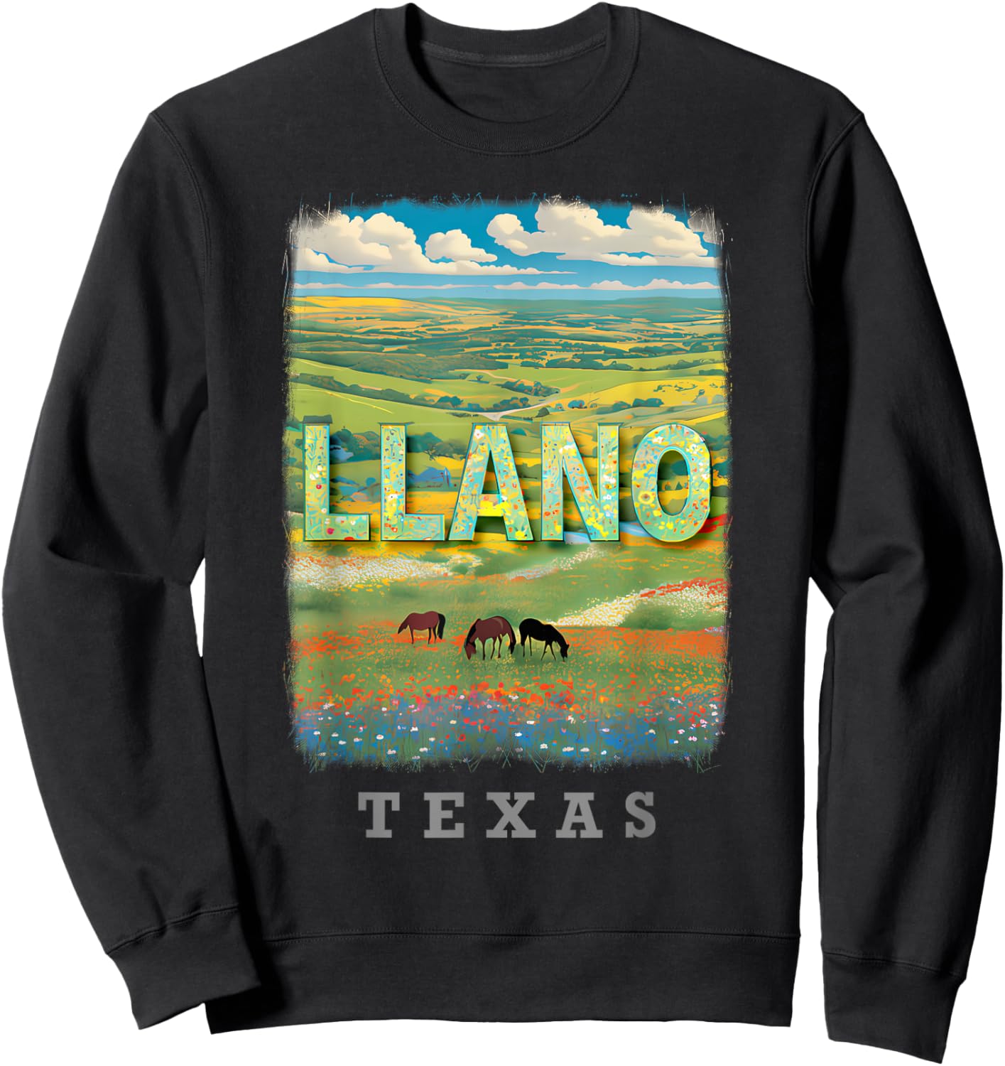 Llano Texas TX Hill Country Charm SD869 Sweatshirt - Sweatshirt | Black