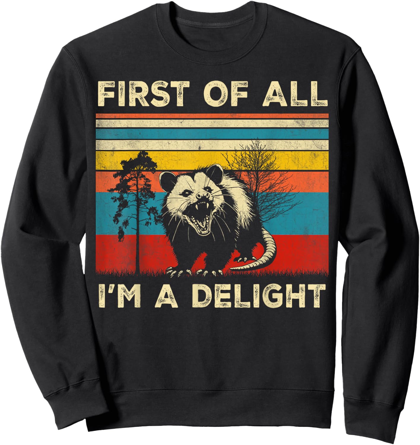 Vintage Opossum Funny Possum , Women, Boys, Girls, Teens, Kids, Black, Small Sweatshirt - Sweatshirt | Black