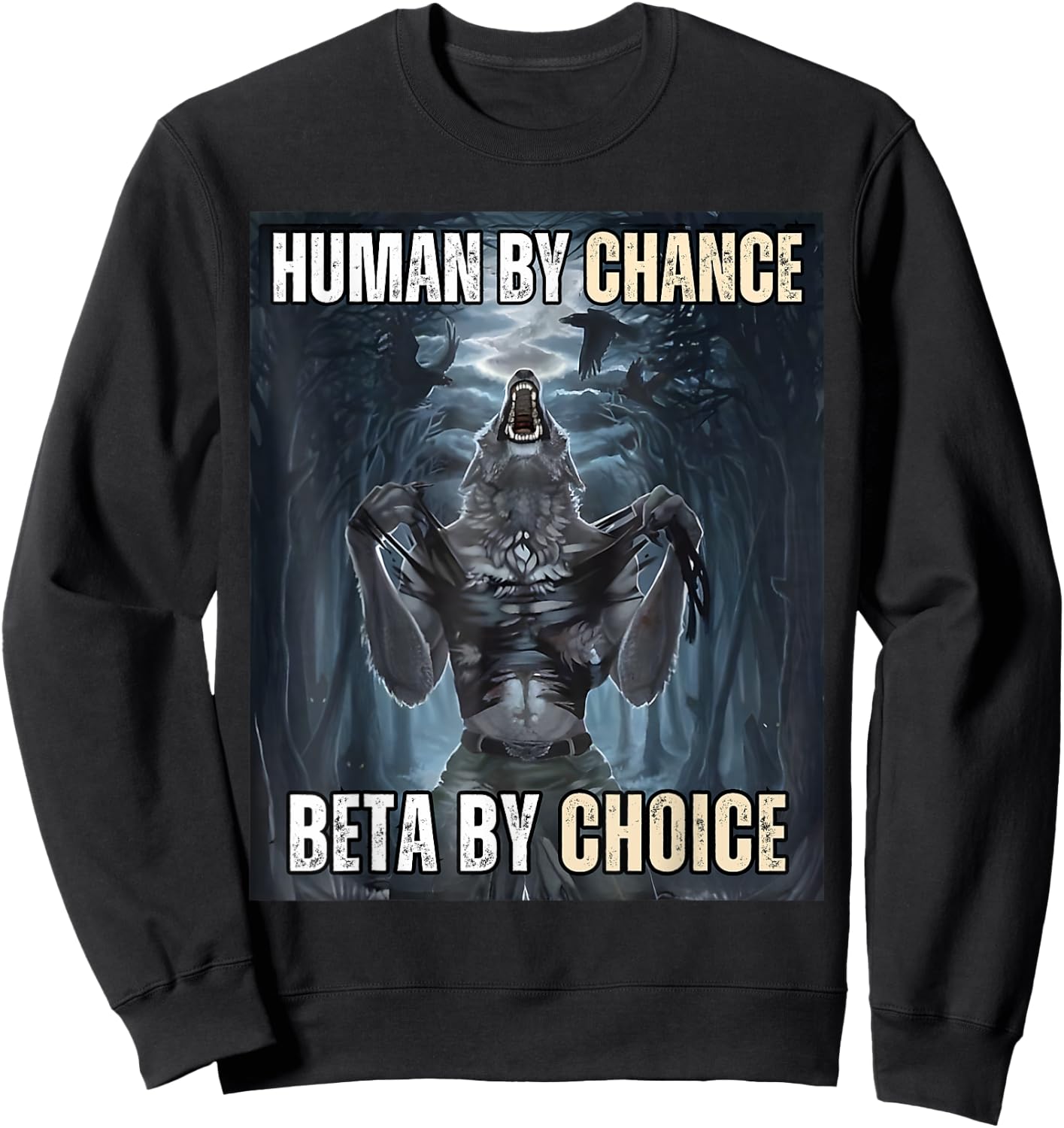 Human By Chance Beta By Choice Cool Funny Wolf Meme Sweatshirt - Sweatshirt | Black