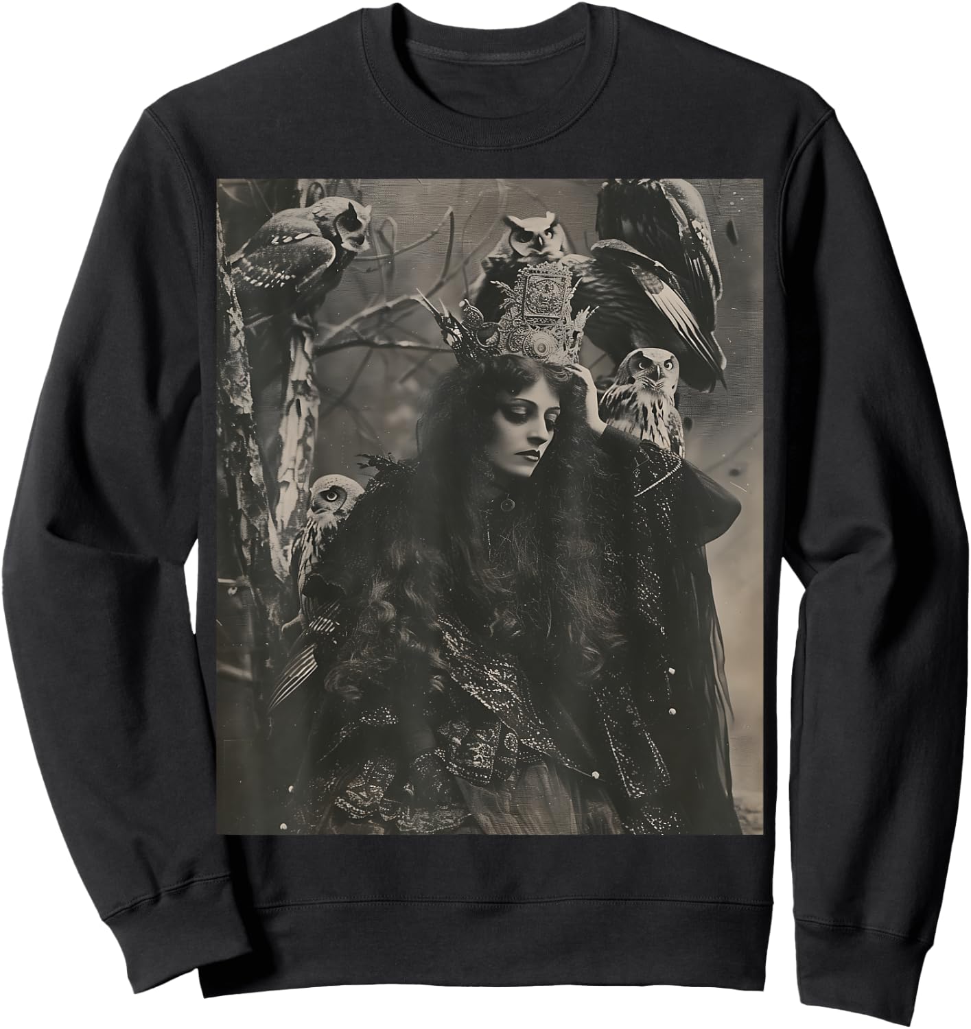 Vintage Witch Sorceress With Raptor Owl Birds Goth Gothic Sweatshirt - Sweatshirt | Black