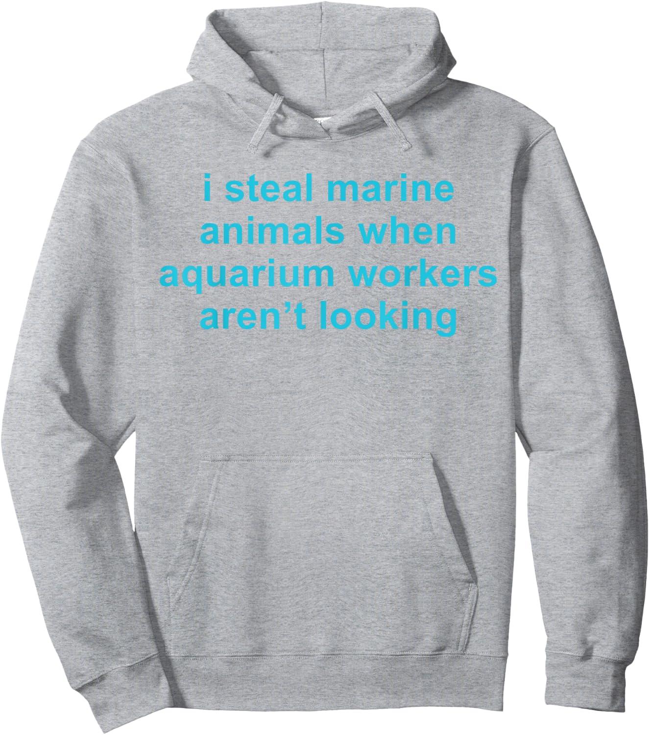 I Steal Marine Animals When Aquarium Workers Aren't Looking Hoodie - Hoodie | Ash