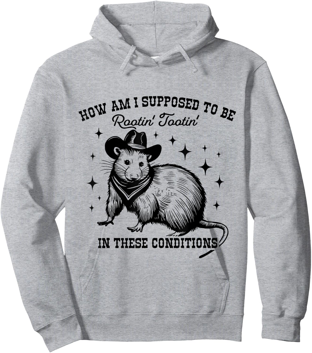 How Am I Supposed to be Rootin' Tootin' In These Conditions Hoodie - Hoodie | Ash
