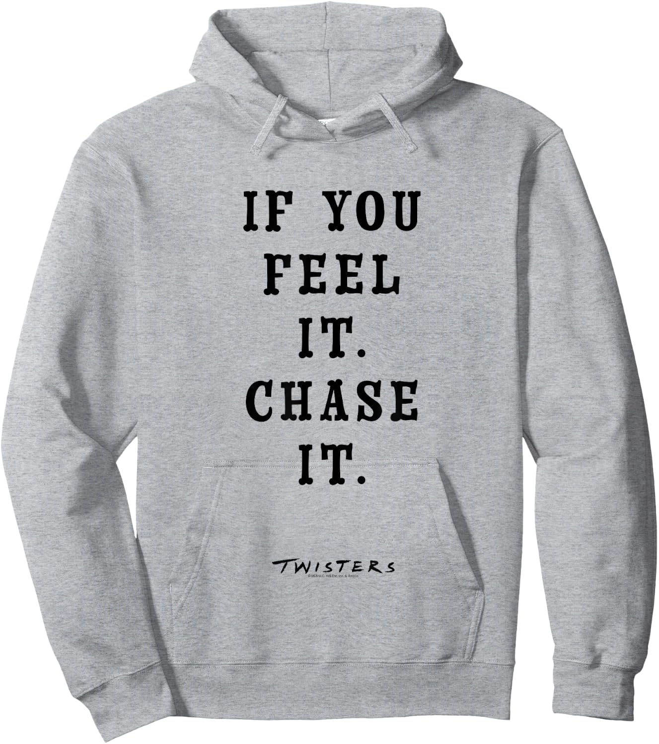 Twisters If You Feel It Chase It Hoodie - Hoodie | Ash