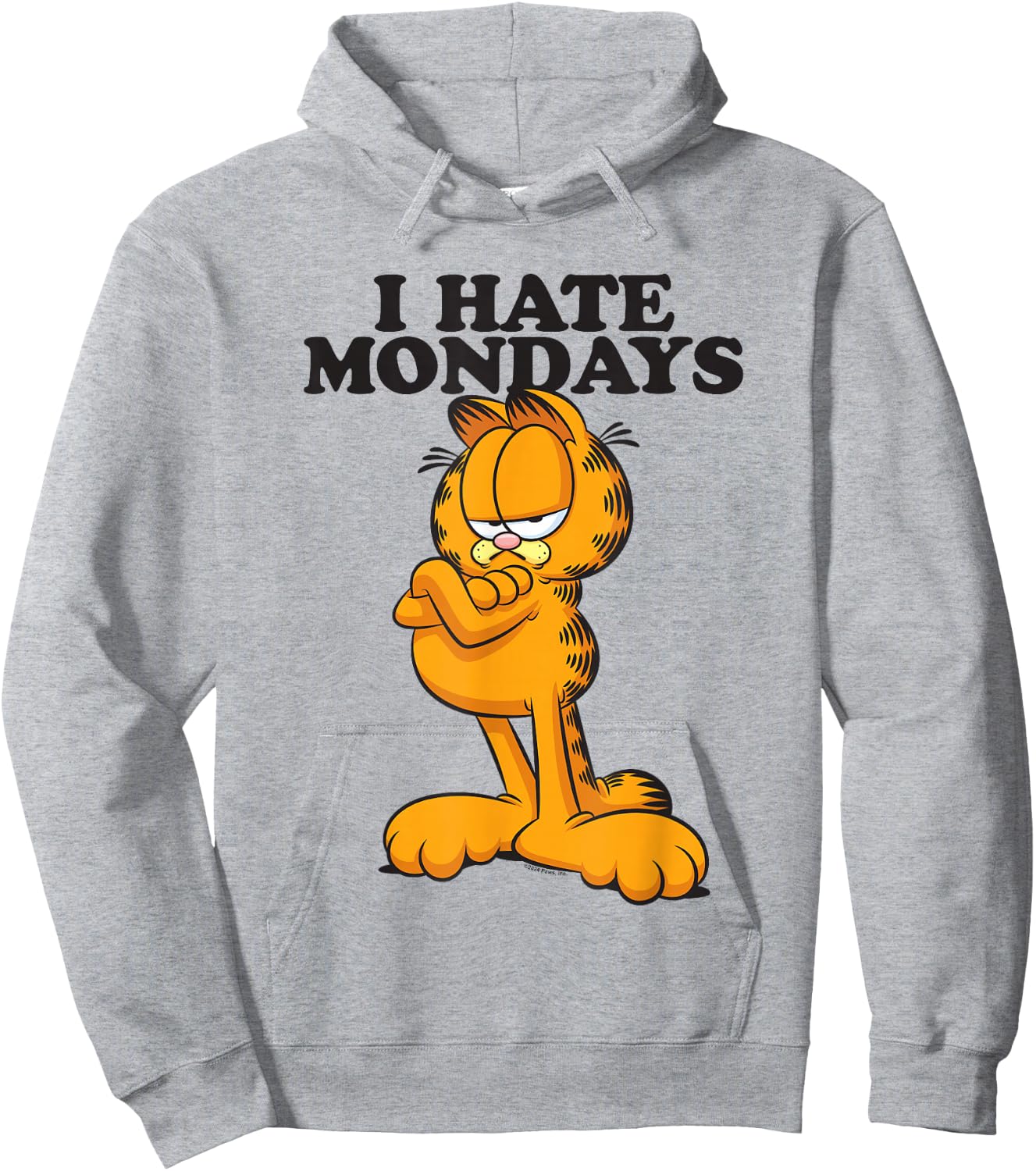Garfield I Hate Mondays Hoodie - Hoodie | Ash
