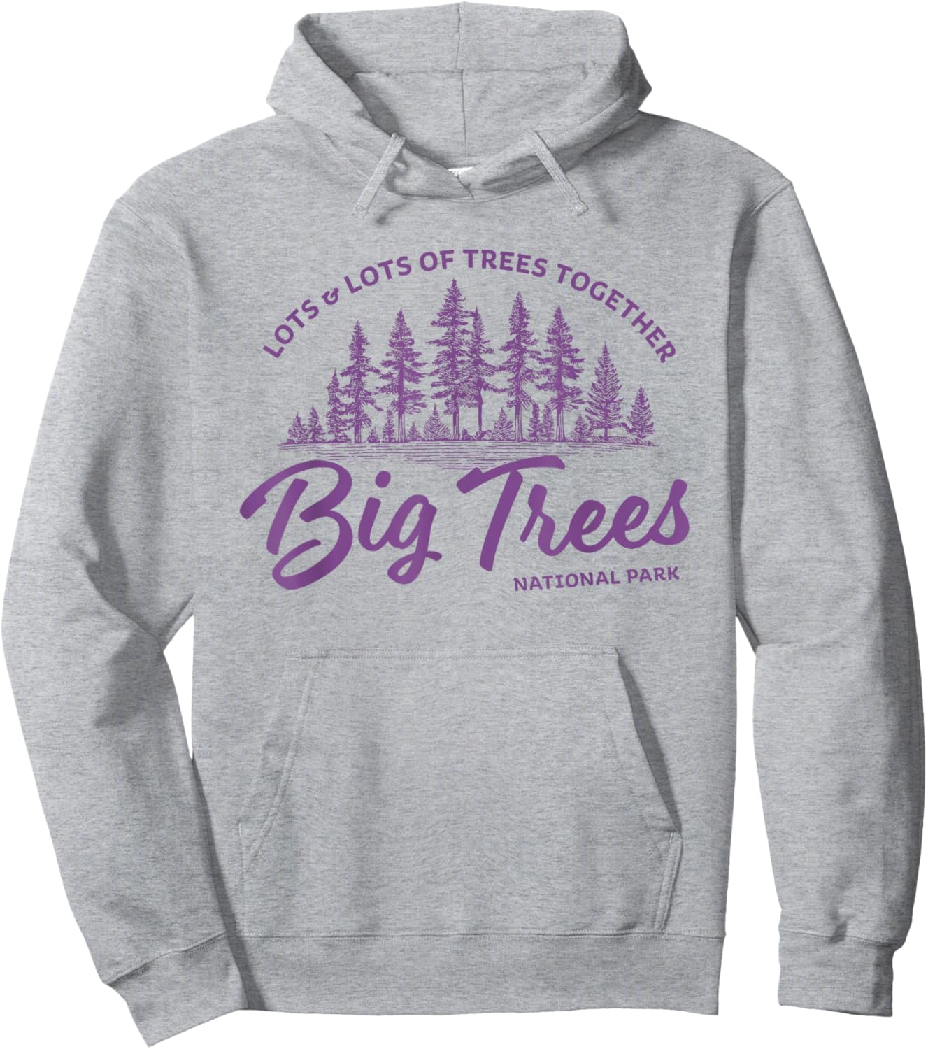 Big Trees Park - Hanson Band Fan Concert Tour Wear Hoodie - Hoodie | Ash