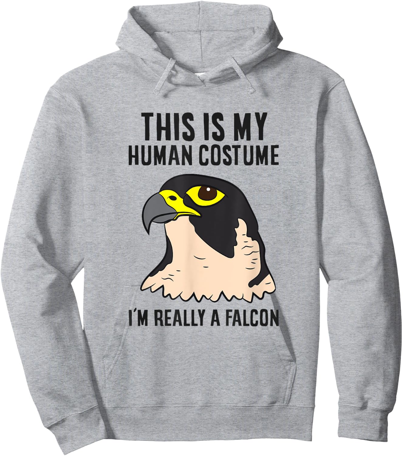 Falcon Costume This Is My Human Costume I'm Really A Falcon Hoodie - Hoodie | Ash