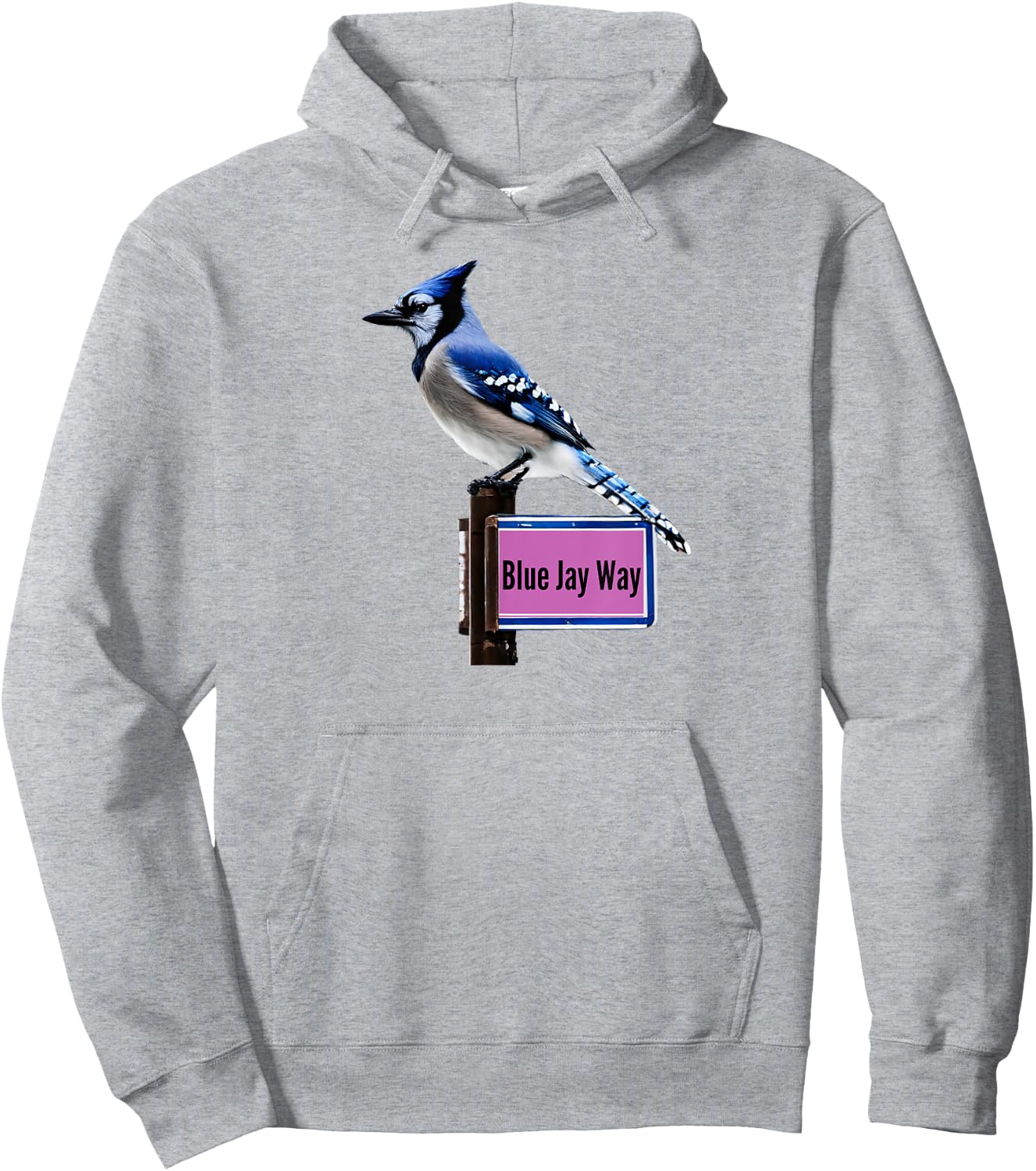 Blue Jay Way Hoodie - Hoodie | Ash