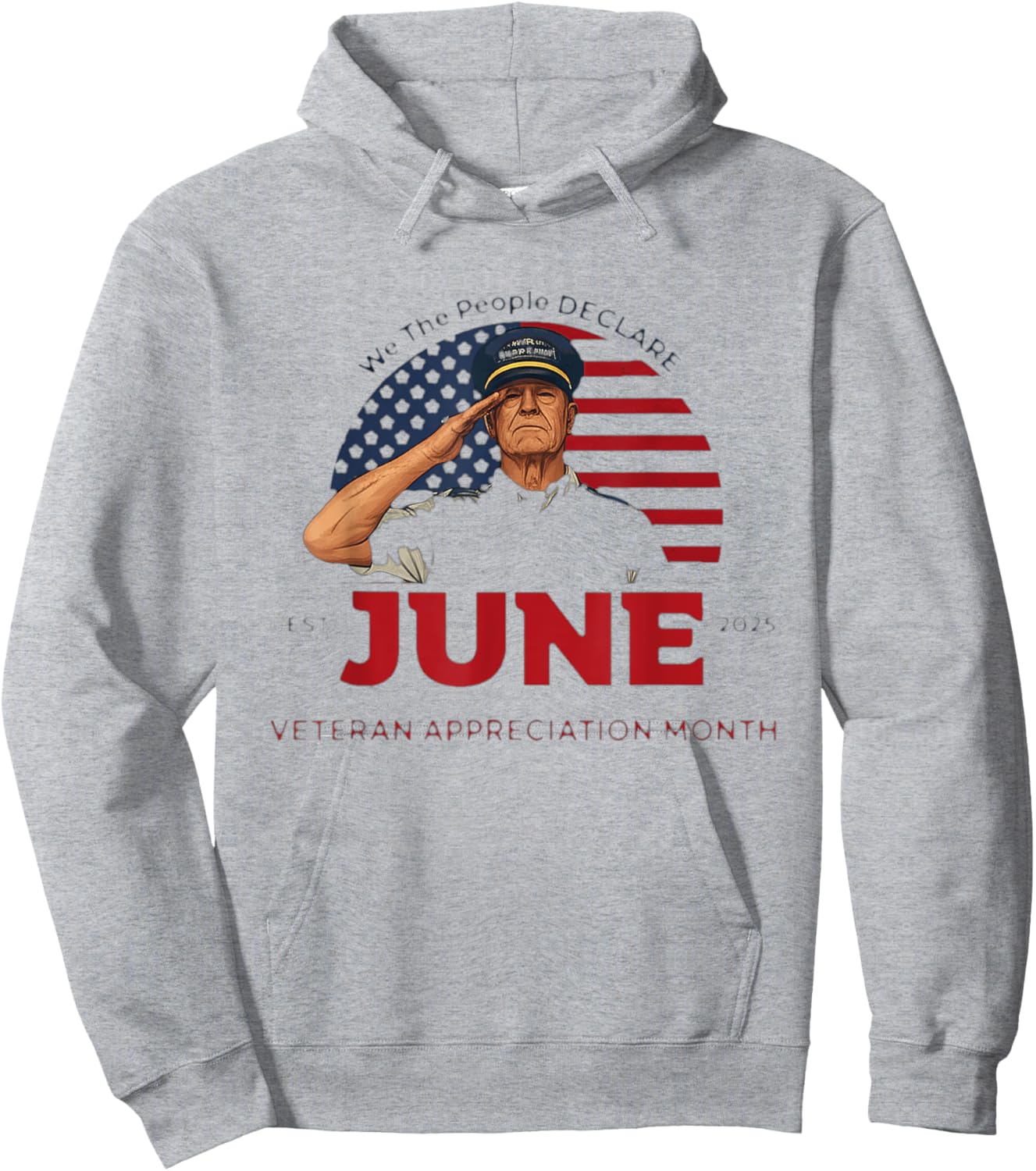 June Veteran Month 2025 Happy Veteran's Month Appreciation Hoodie - Hoodie | Ash