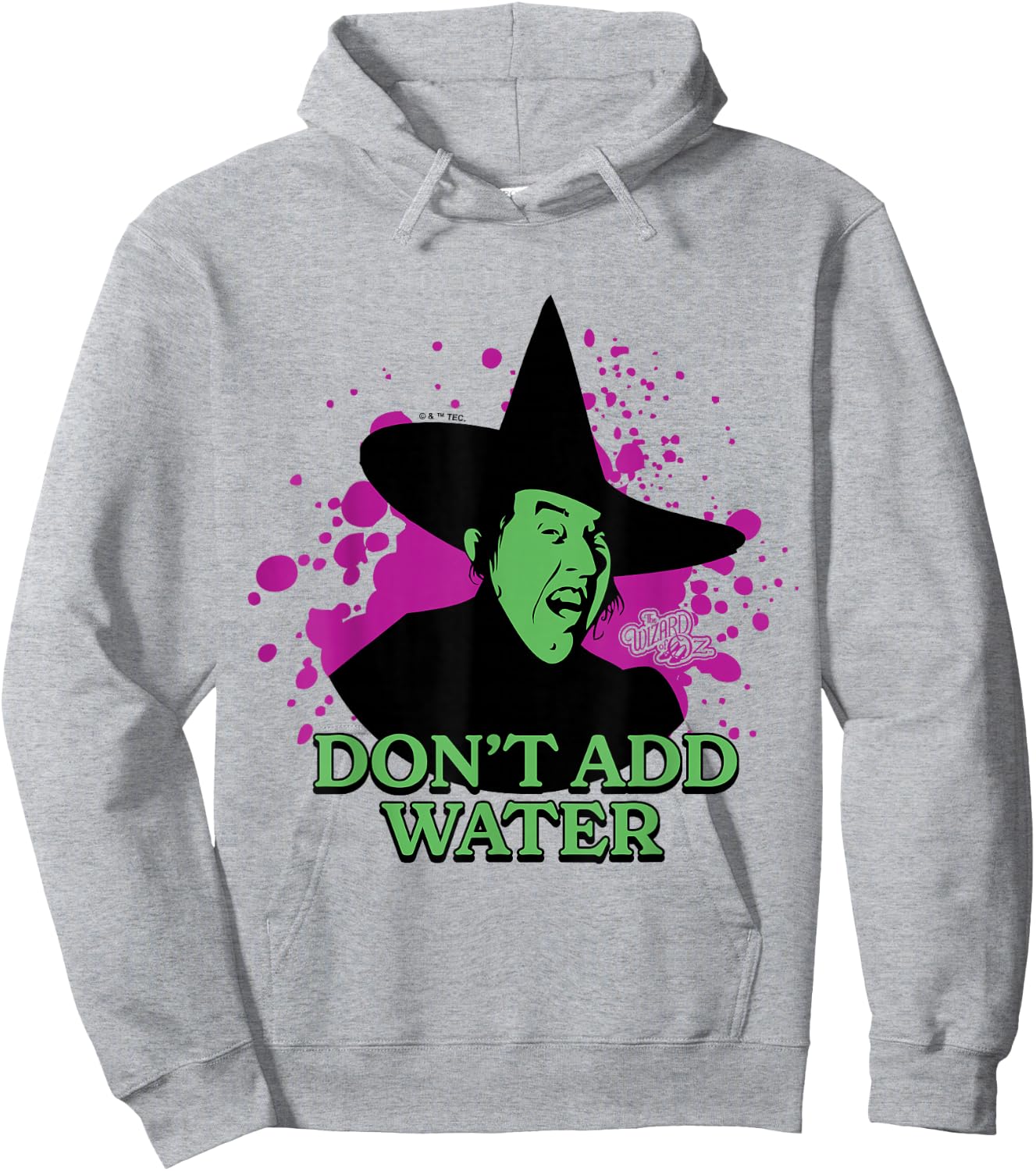 The Wizard Of Oz - Wicked Witch Of The West Don't Add Water Hoodie - Hoodie | Ash