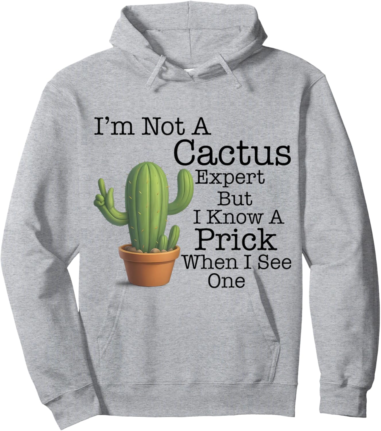 I'm Not A Cactus Expert But I Know A Prick When I See Cactus Hoodie - Hoodie | Ash
