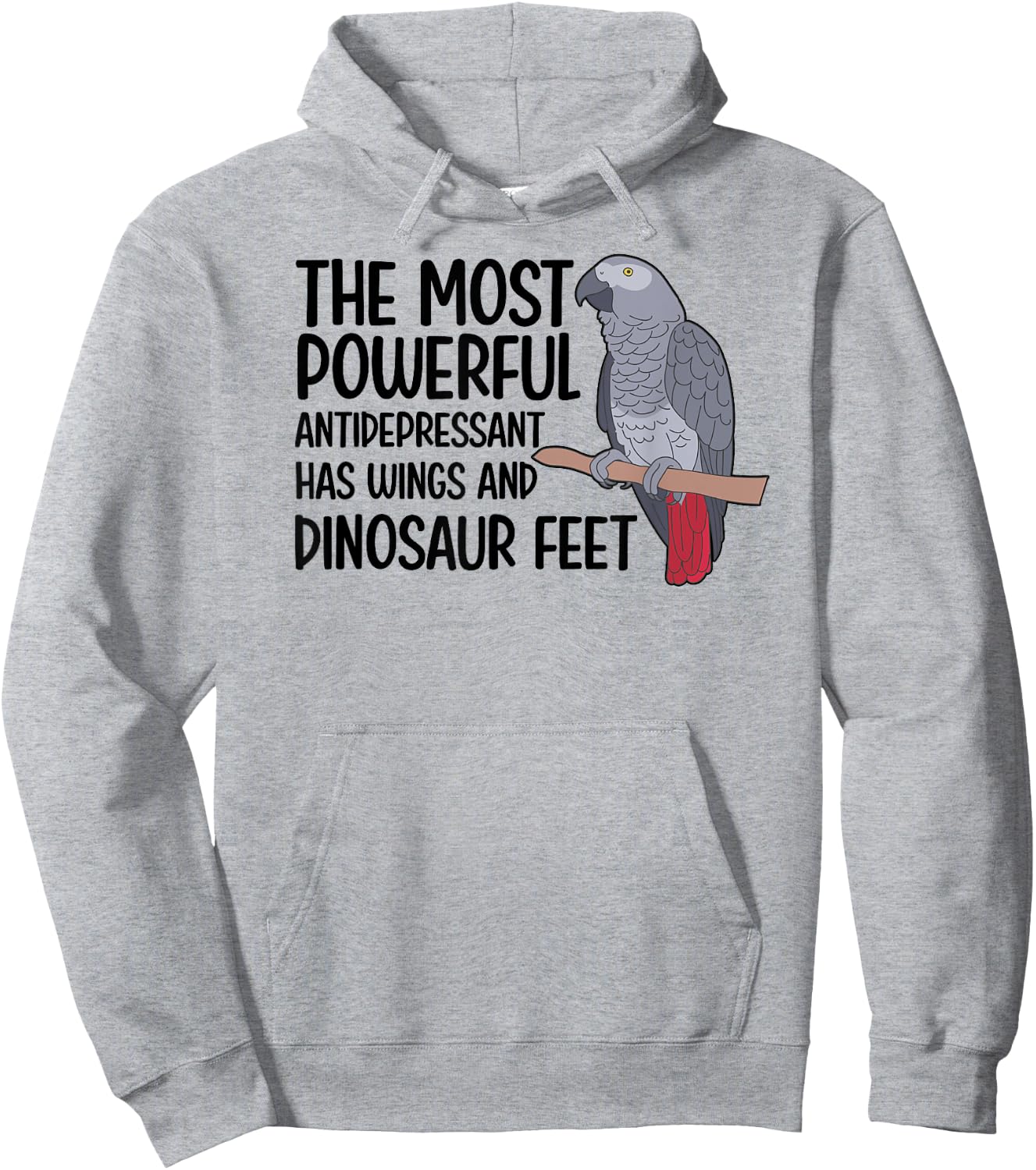 Dinousar Feet African Grey Owner African Grey Parrot Lover Hoodie - Hoodie | Ash