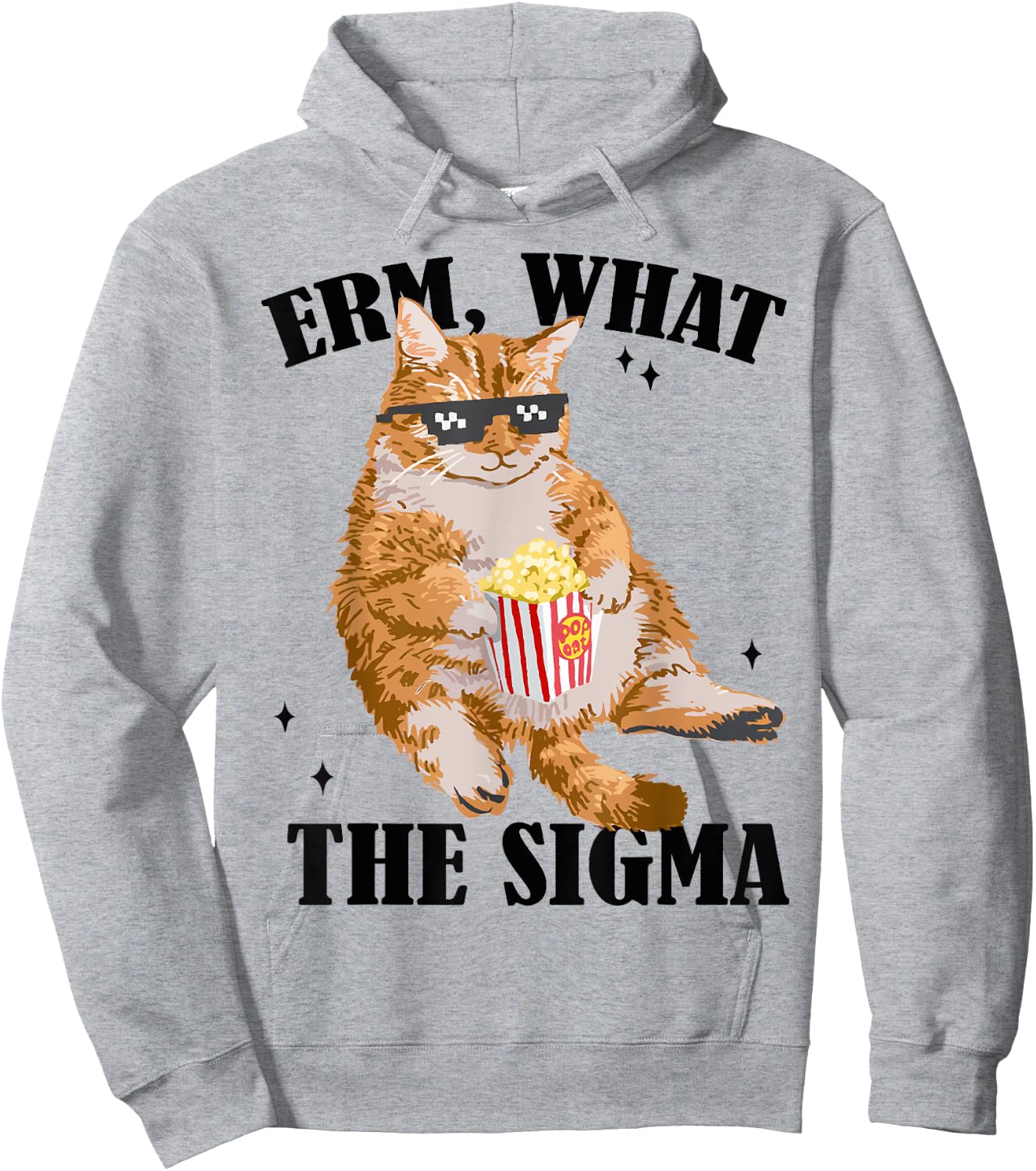 Funny Cat meme Quote Erm What Sigma Women Cool Sigma Hoodie - Hoodie | Ash