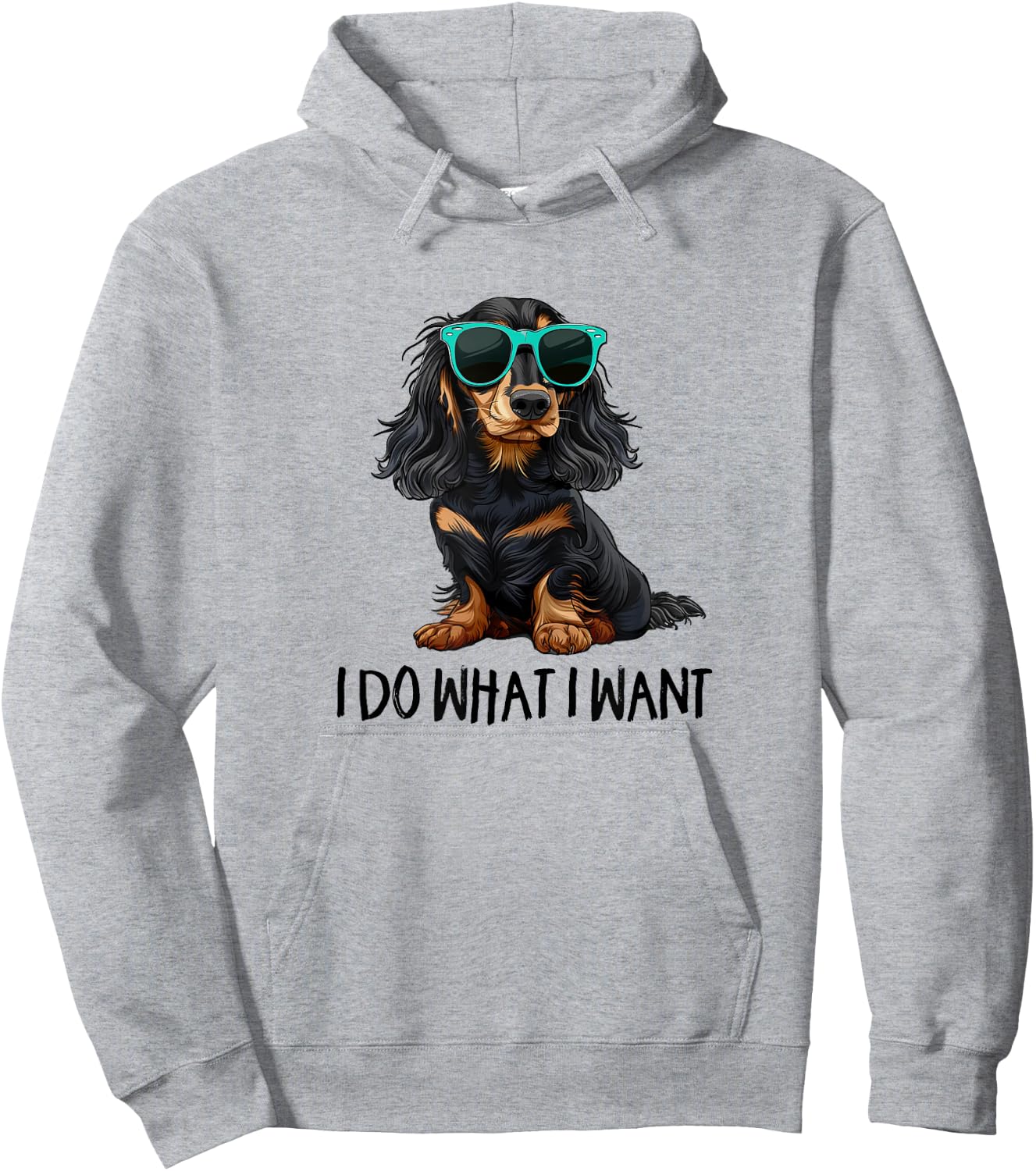 Funny Do What I Want Black Long Haired Dachshund Lover Hoodie - Hoodie | Ash