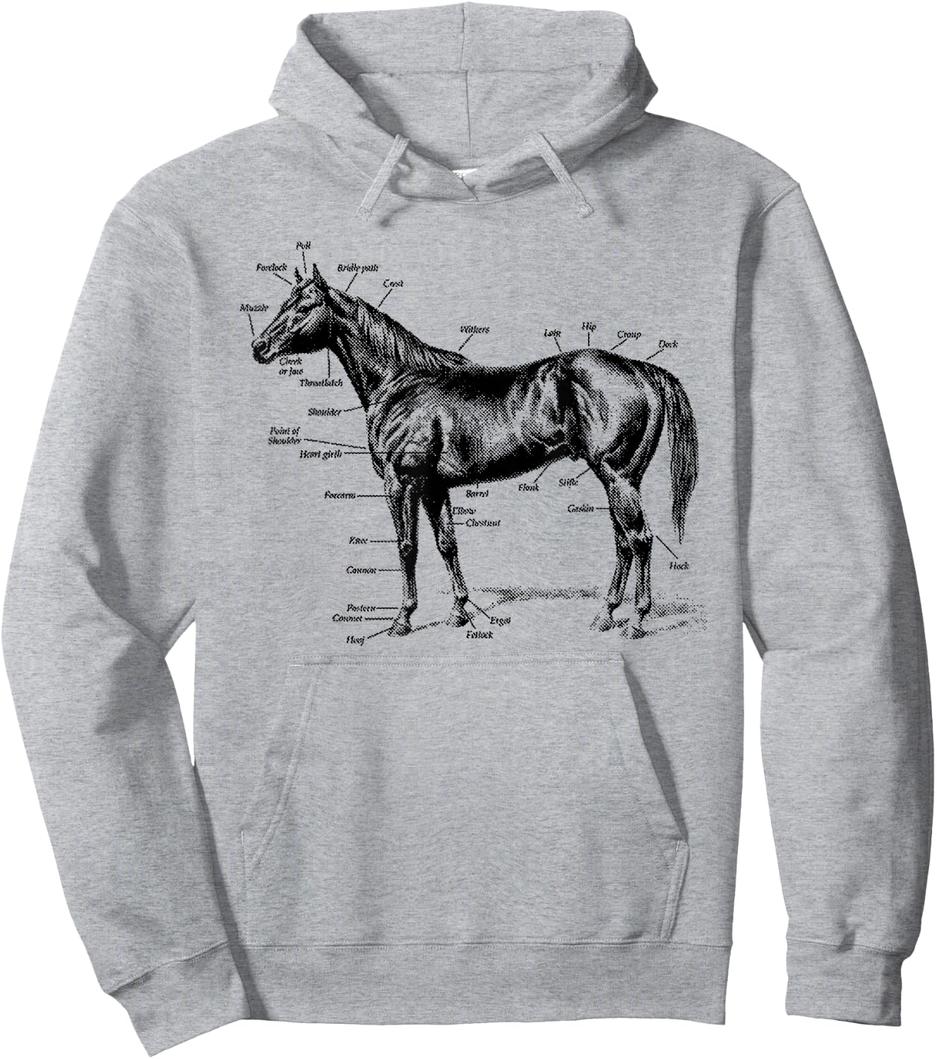 Big Texas Anatomy of a Horse Hoodie - Hoodie | Ash