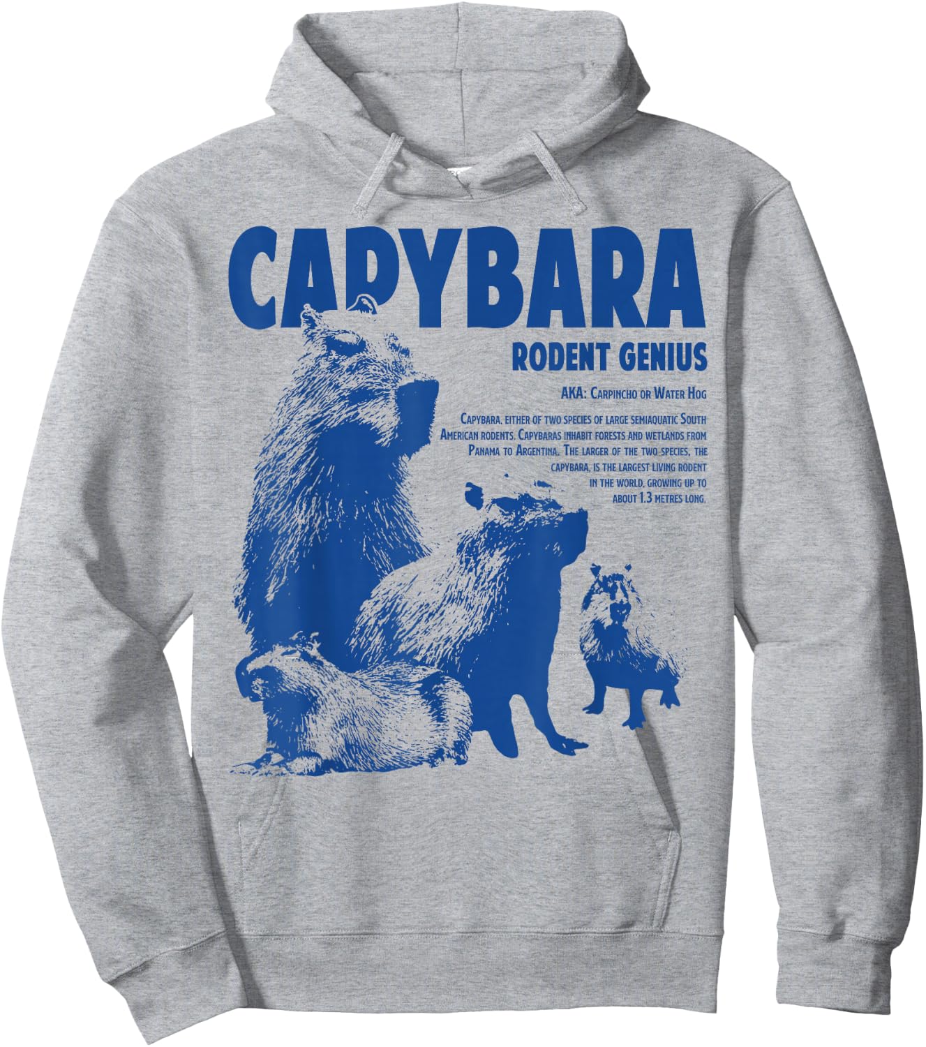 Capybara Rodent Genius Funny Information For Capybara Lover Hoodie - Hoodie | Ash