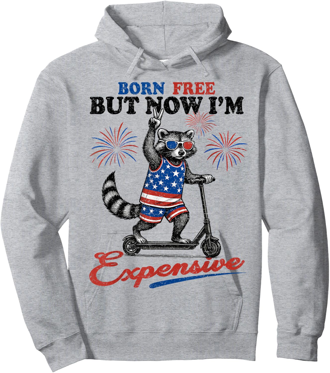 Born Free But Now I’m Expensive USA Patriotic 4th of July Hoodie - Hoodie | Ash